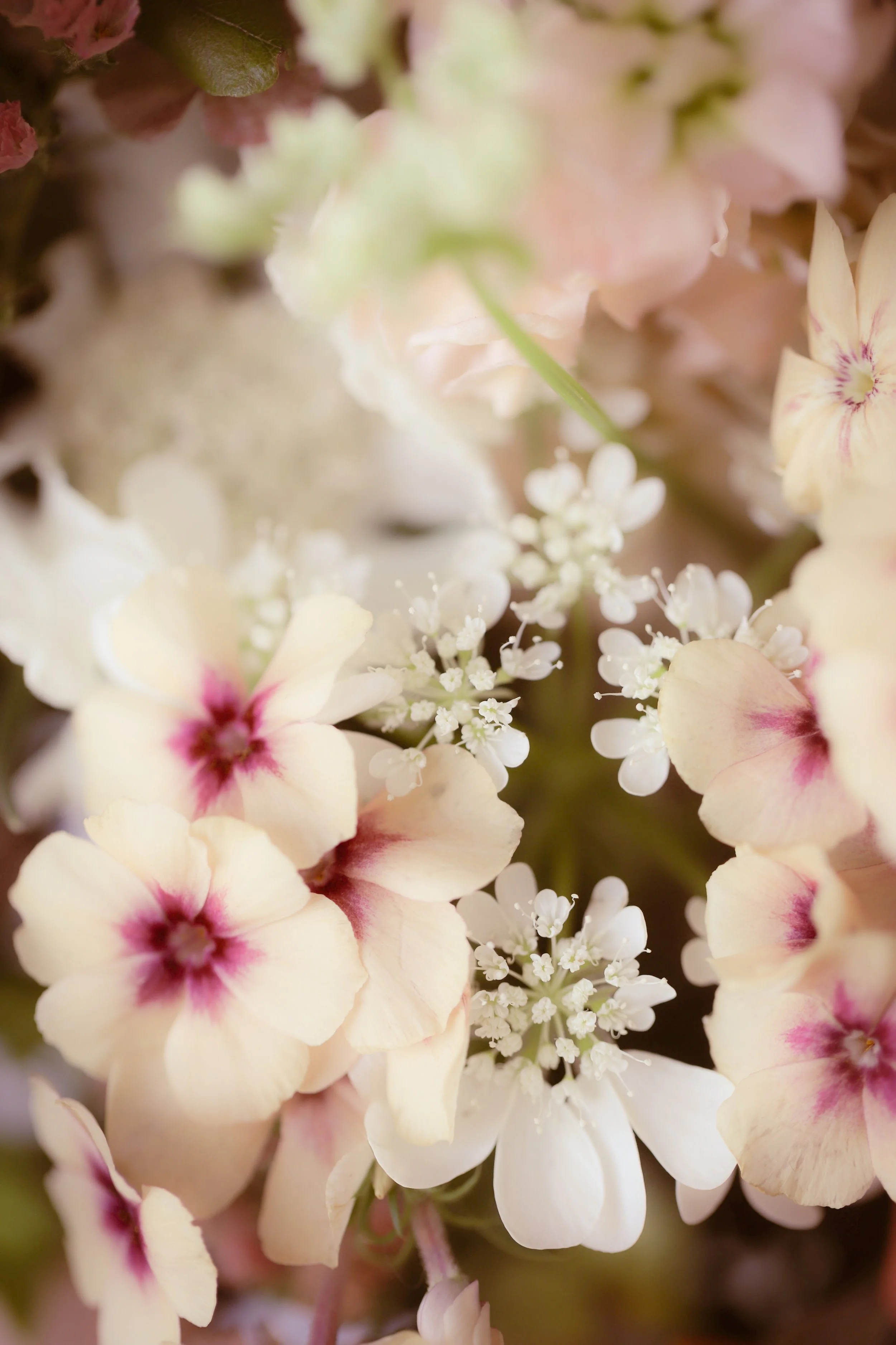 Styling and Photos for a private birthday party