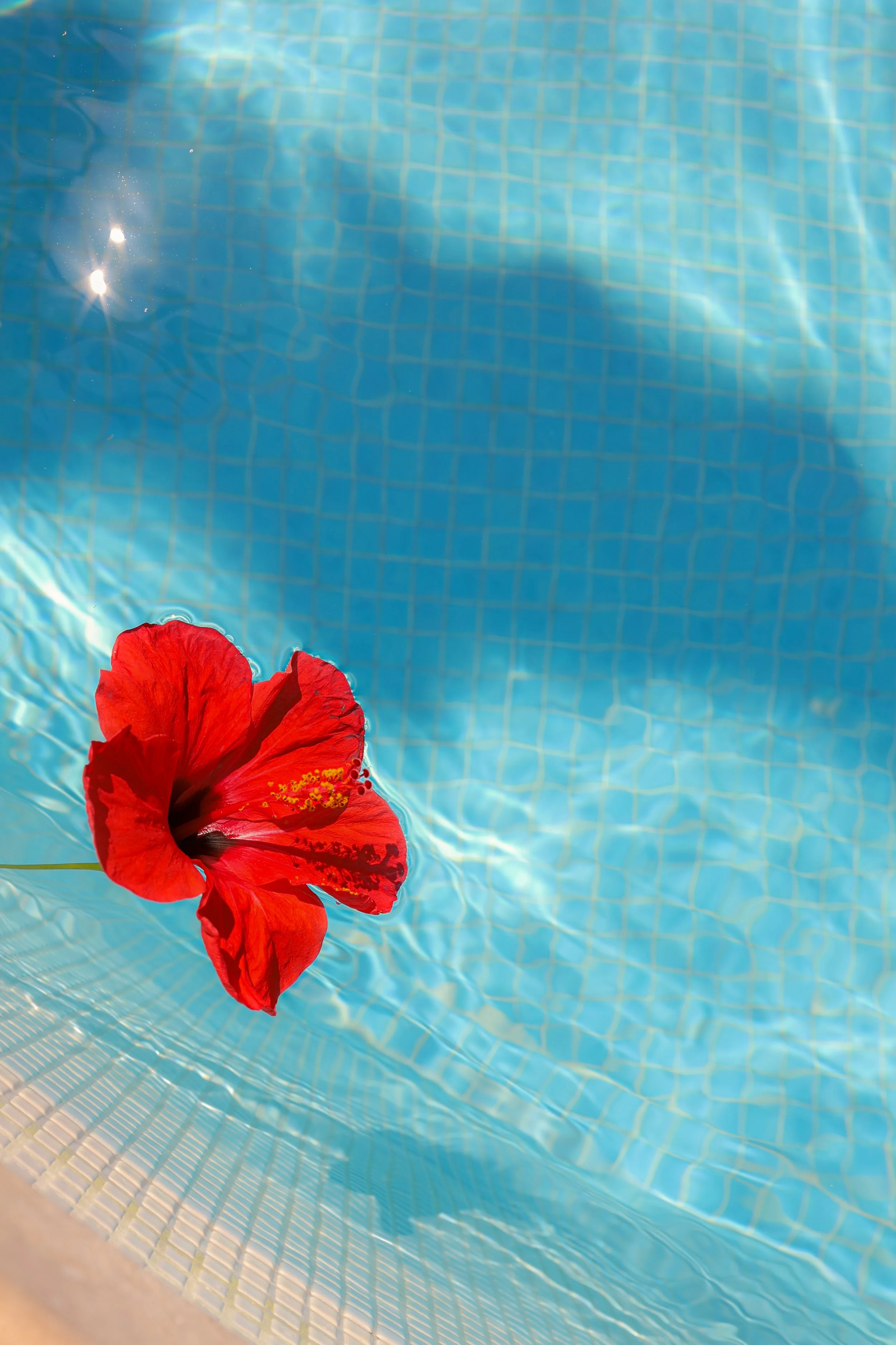 Hospitality photographer for Hotel Tramontano in Sorrento, photographing the swimming pool at the hotel along with cocktails and coffee