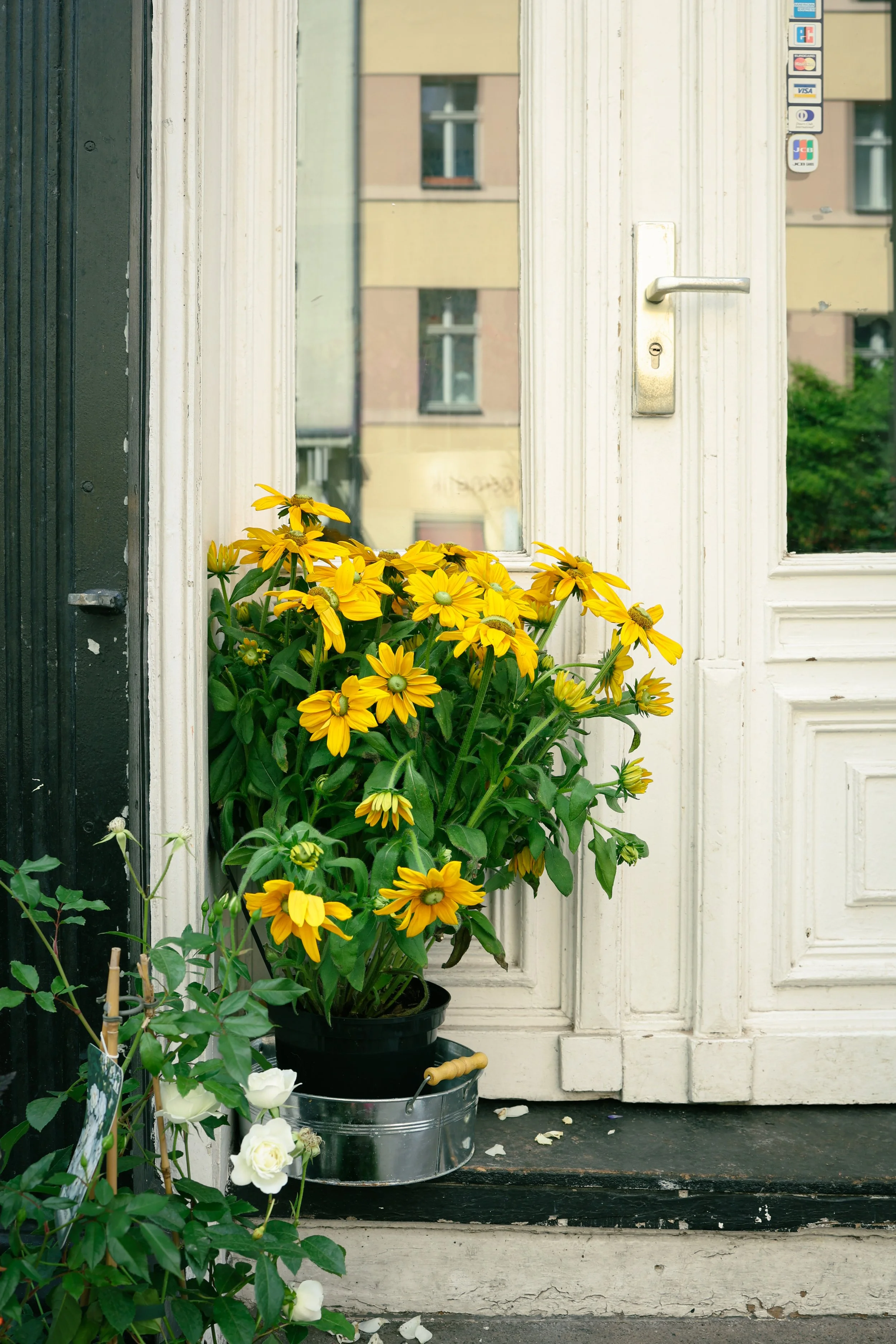 Travel photography  Flower shop, Berlin
