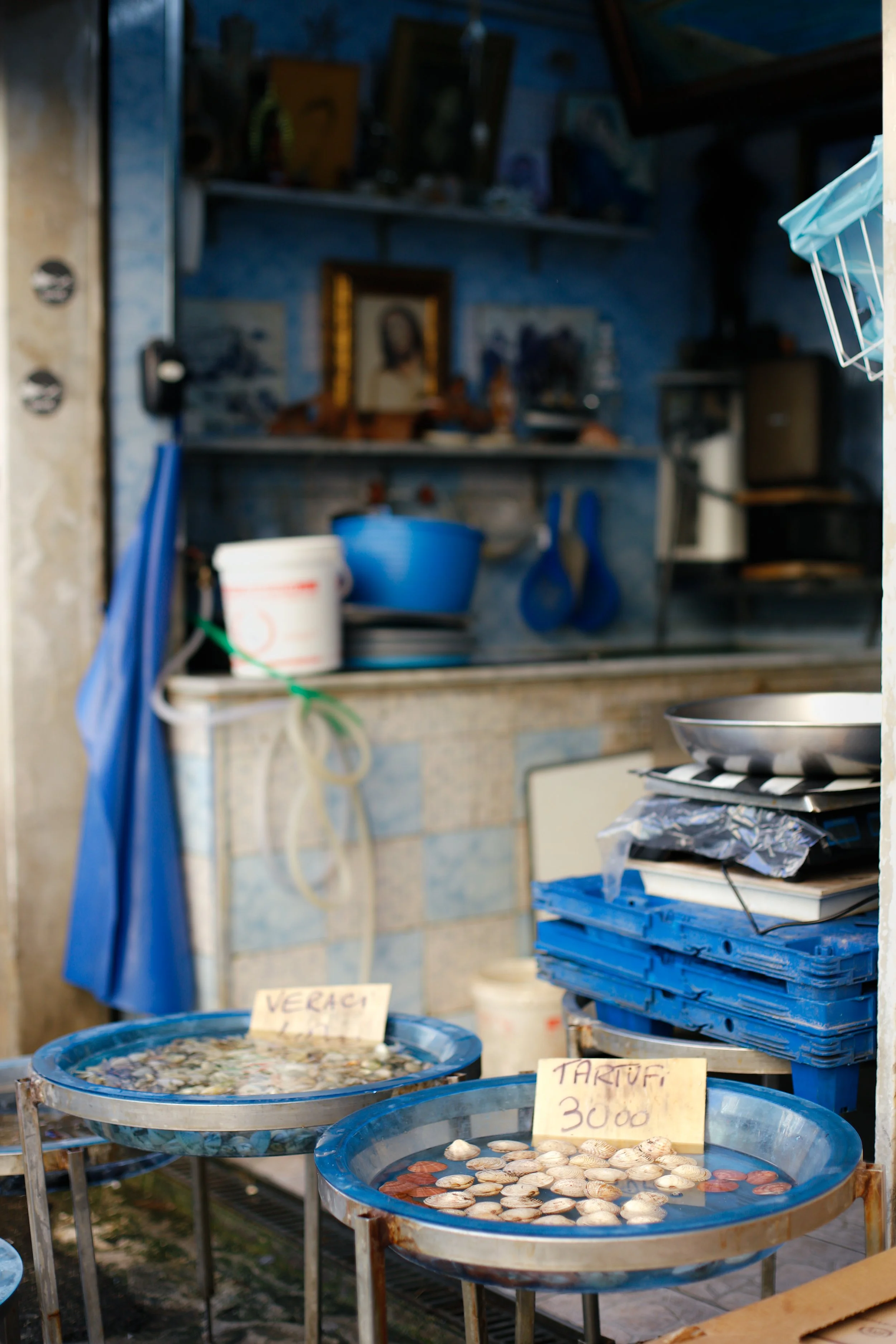 Travel protographer pescheria, La Sanità,  Napoli