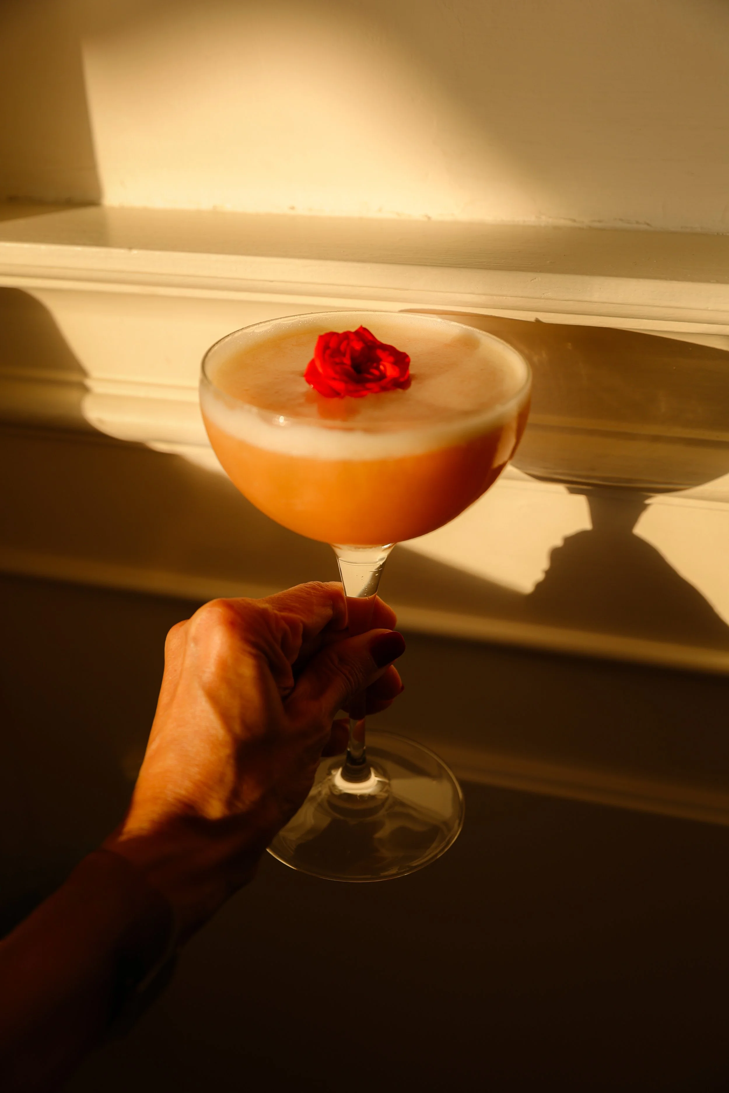 Photo Lounge Bar | Cocktails | Hotel Tramontano | Sorrento