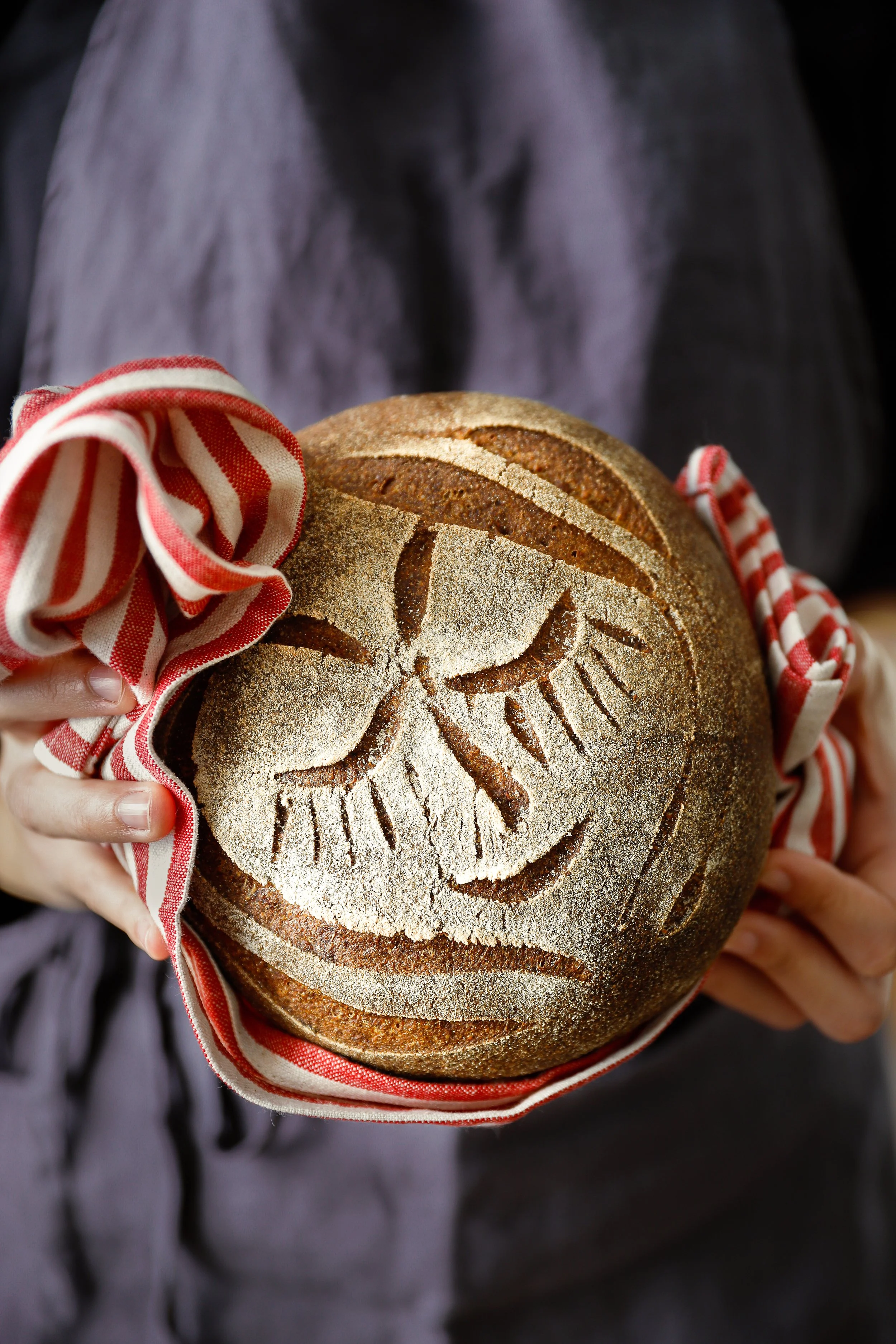 Food photography for Baci di Pane sourdough gluten free bread 