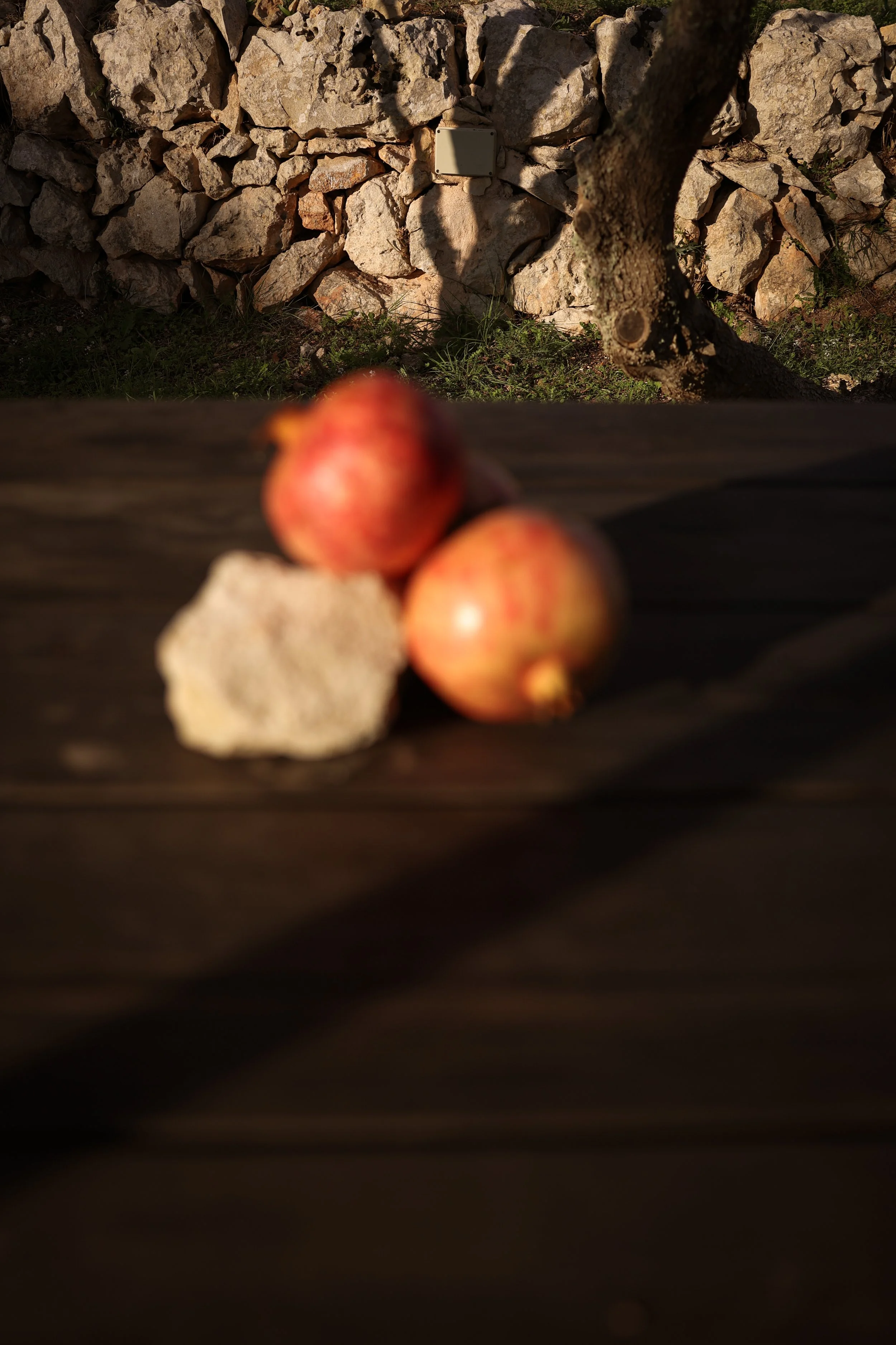 Resort photography at Son Blanc in Menorca
