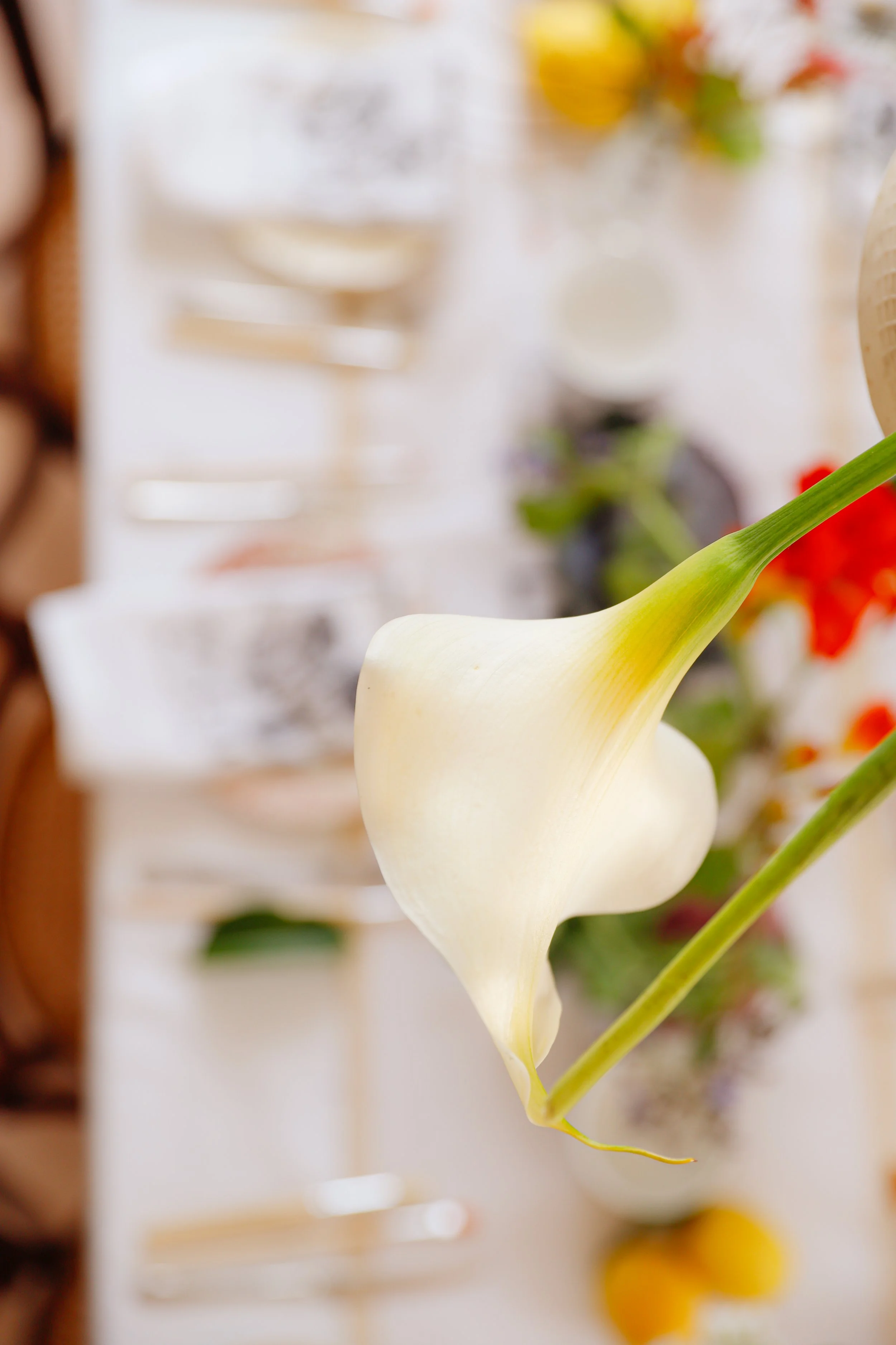 Styling and photography for Tavole Parlanti, Artist Domenico Lettera