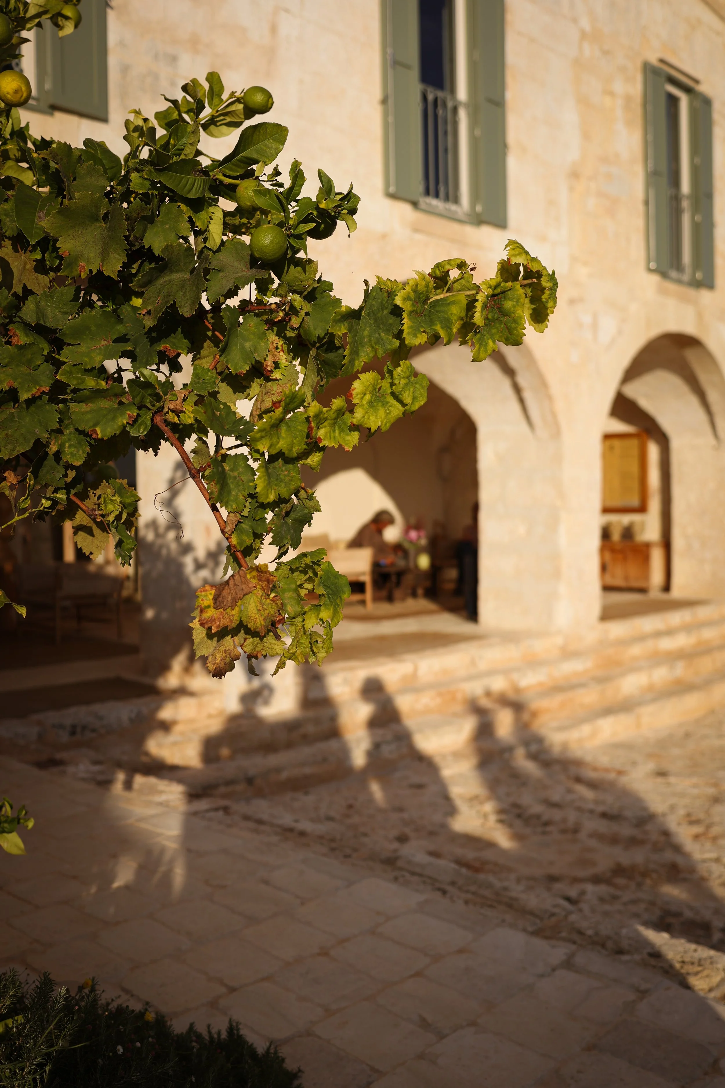 Son Blanc, Menorca