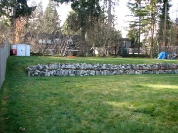 A backyard with a green lawn, a stone wall, trees, and a shed in the background.