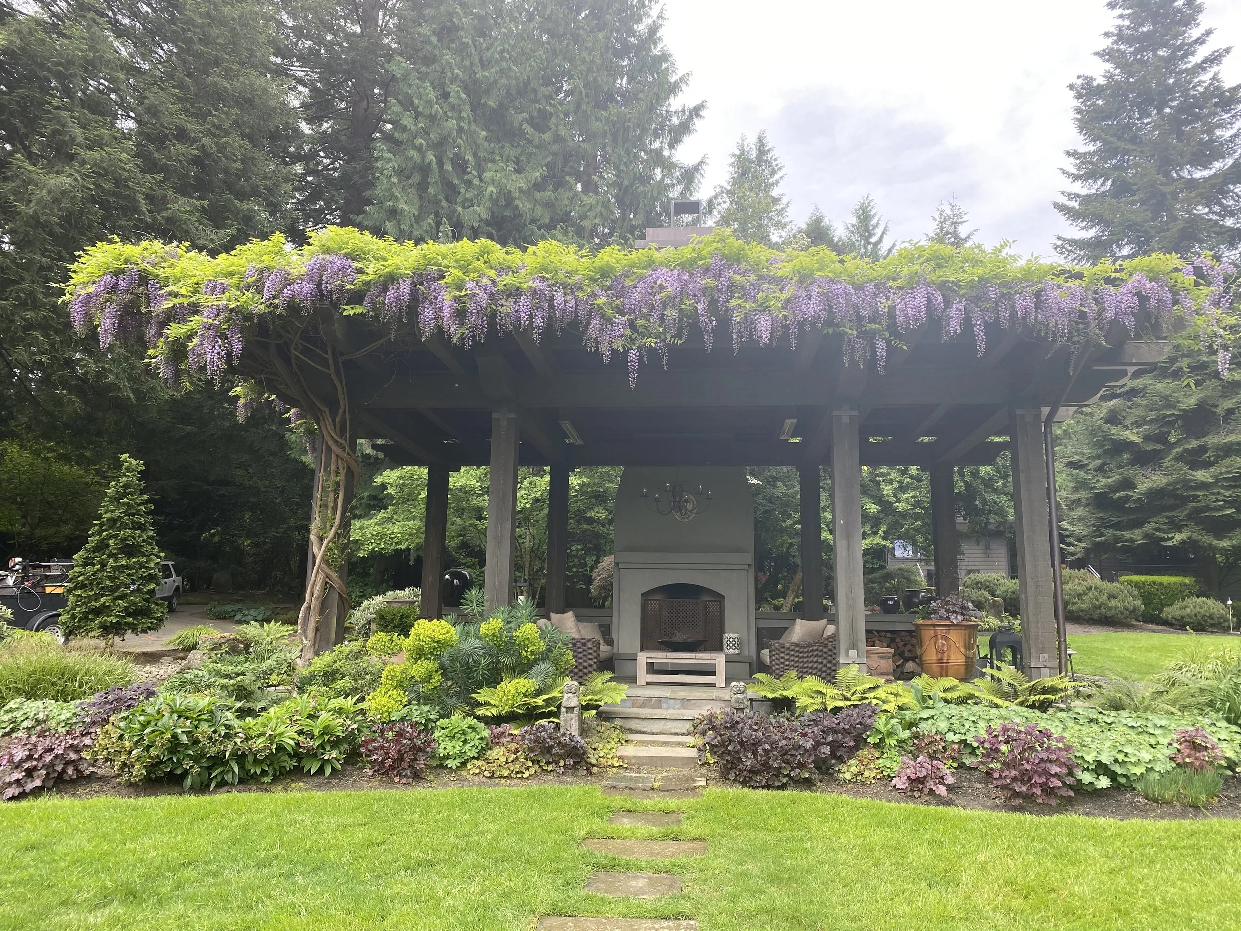 A garden with a wooden pavilion adorned with purple flowering vines, surrounded by lush green plants and trees, with a manicured lawn and a pathway leading to the pavilion.