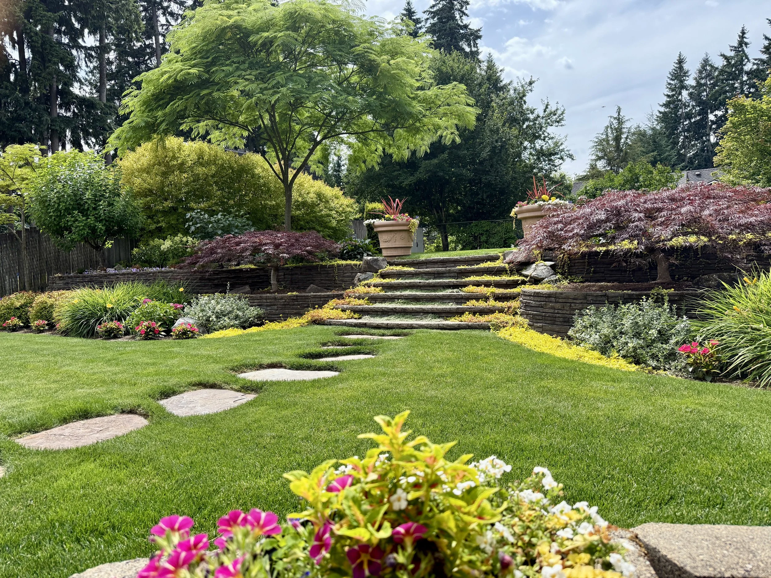 A lush green backyard garden with a well-maintained lawn, potted plants, shrubbery, and stone steps leading up a small hill, surrounded by tall trees and a bright, partly cloudy sky.