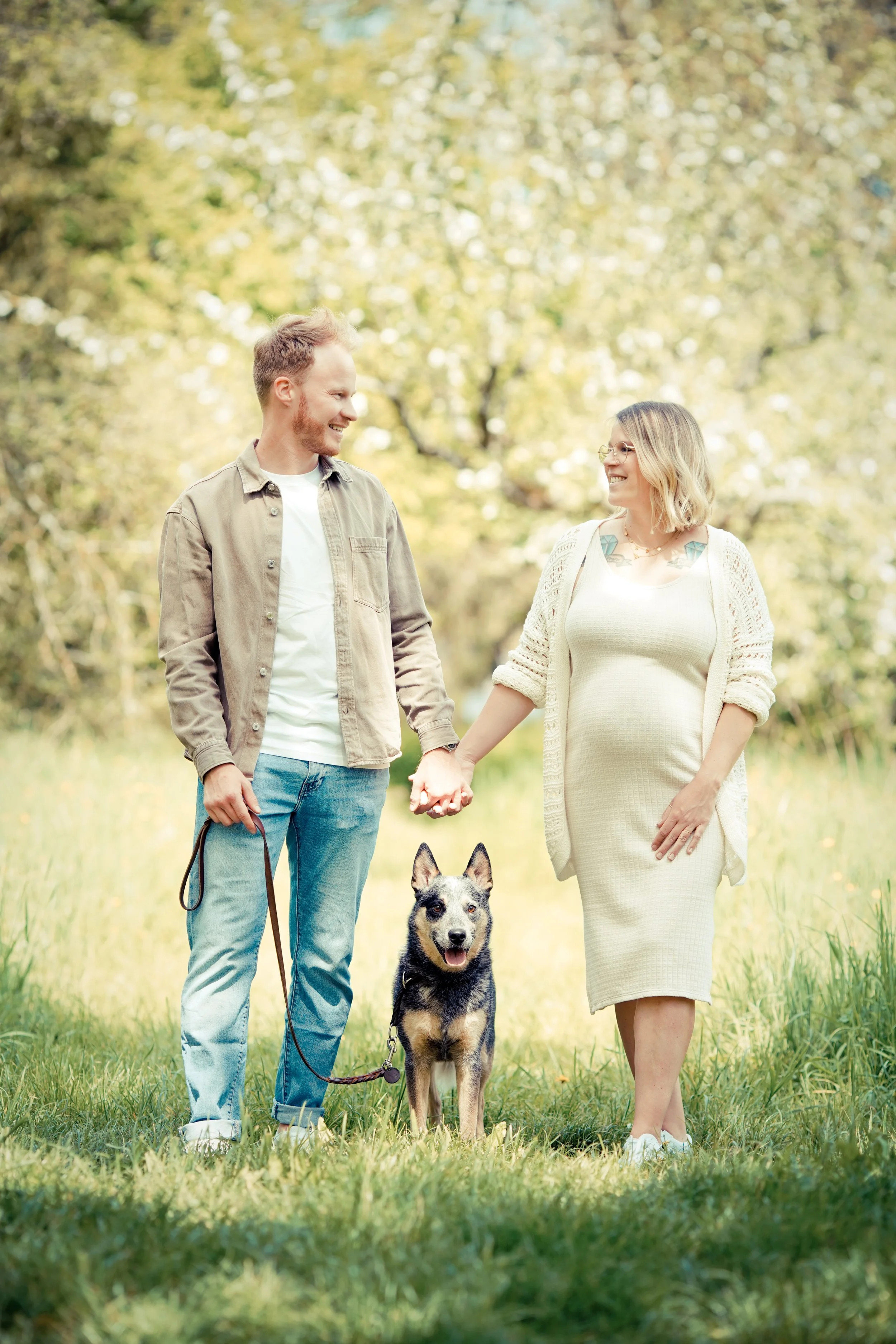 Ein Mann und eine Frau gehen Hand in Hand mit einem Hund in einem Park im Herbst.