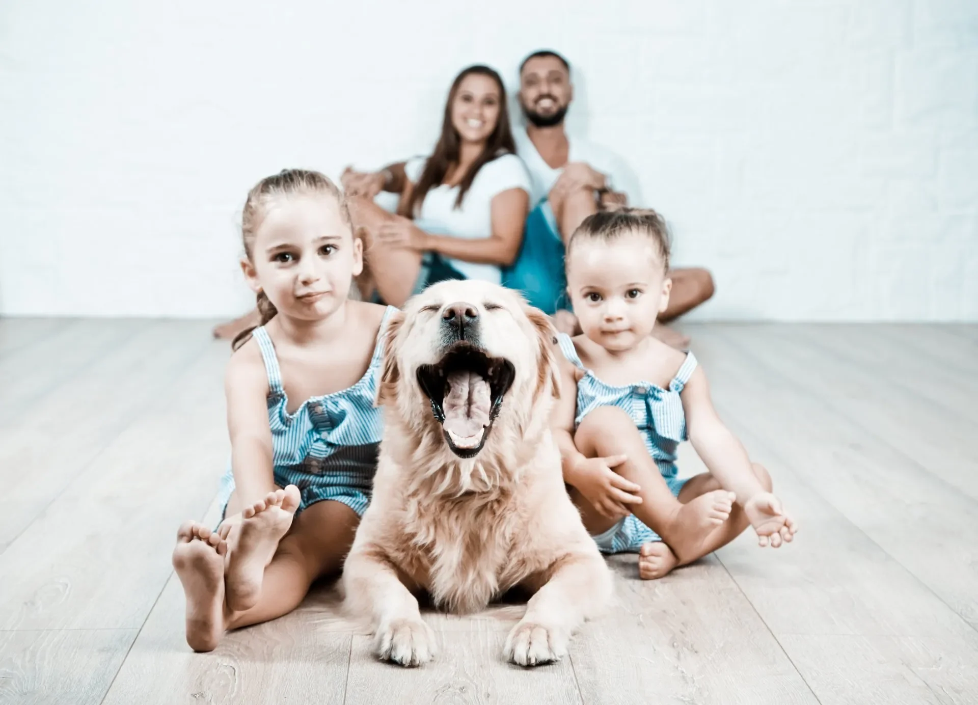 Familien Bild mit Hund. Zwei kleine Mädchen sitzen auf dem Boden, eines streichelt einen schlafenden Hund, während im Hintergrund eine lachende Familie sitzt, alles vor einer weißen Wand.