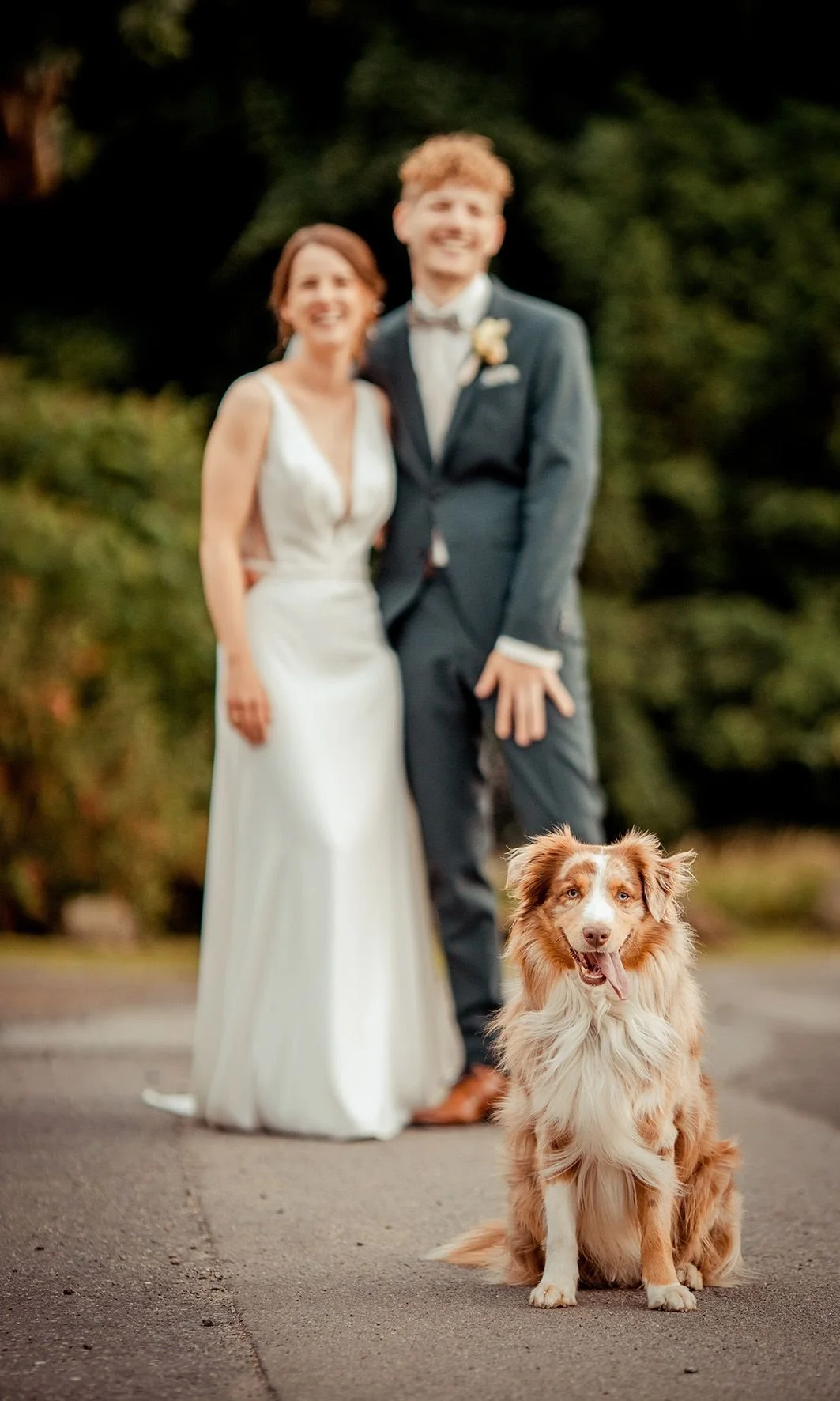 Ein Brautpaar in Hochzeitskleidung steht im Freien, im Vordergrund sitzt ein brauner Hund mit weihem Brust- und Gesichtsfell und hängt die Zunge raus.