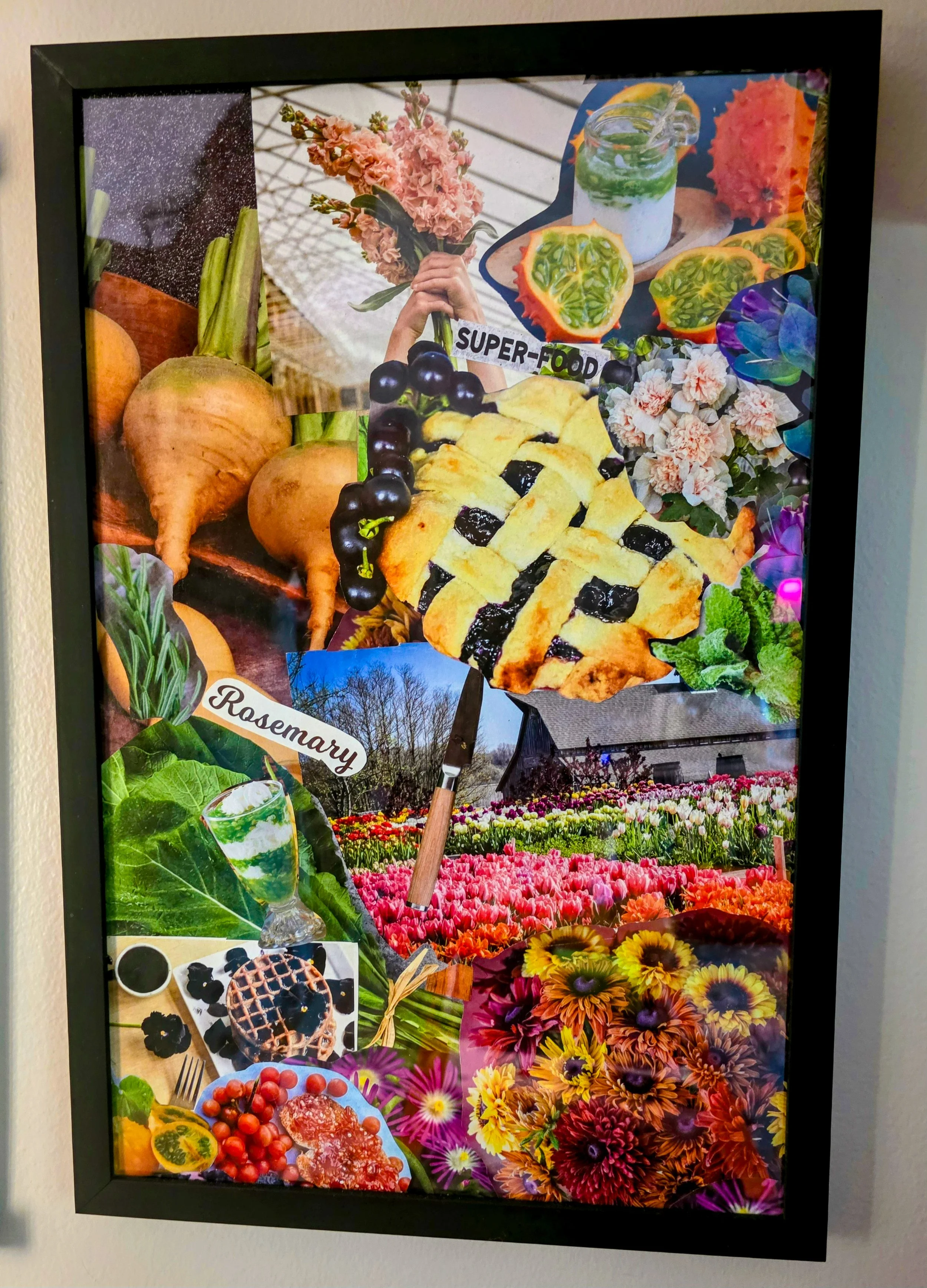 Seed Catalog - Collage.jpg