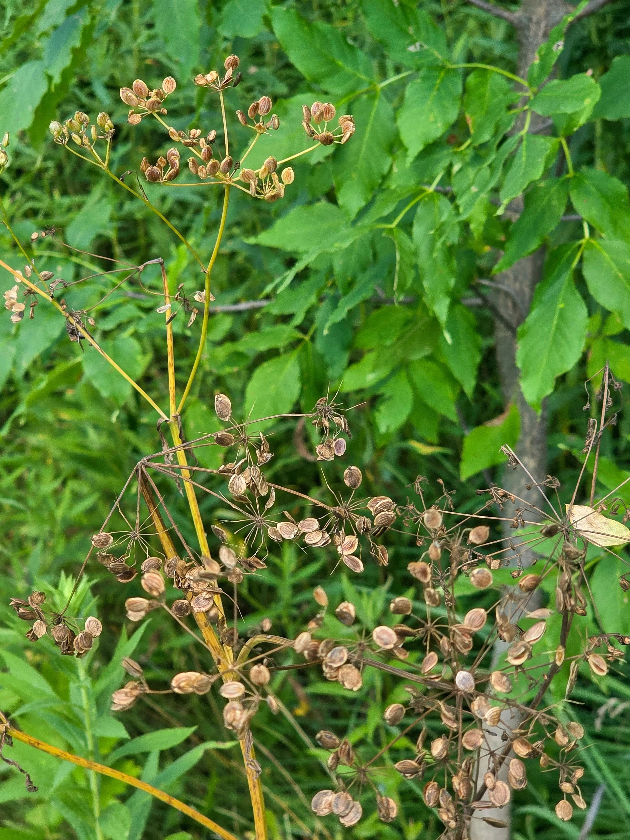 20260801_154137.jpg