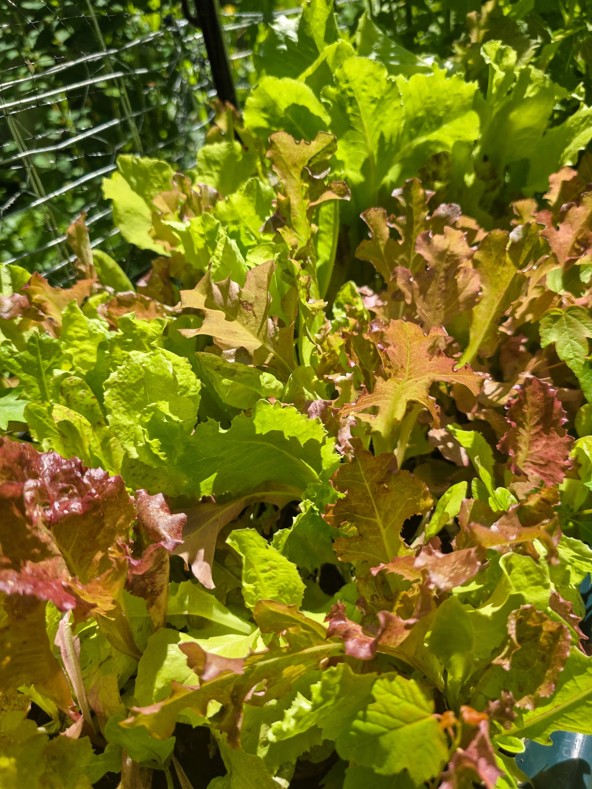 20260709_151734.jpg