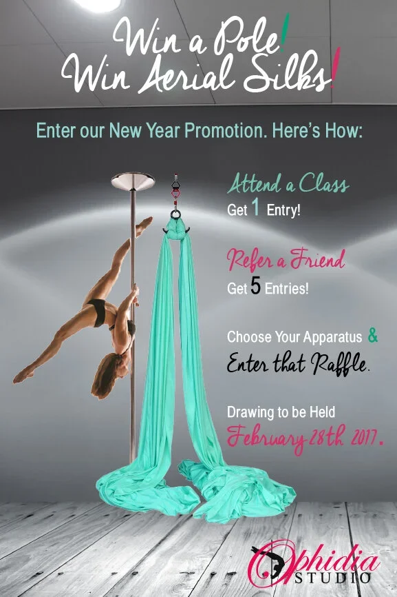 win_pole_silks_promo_web.webp