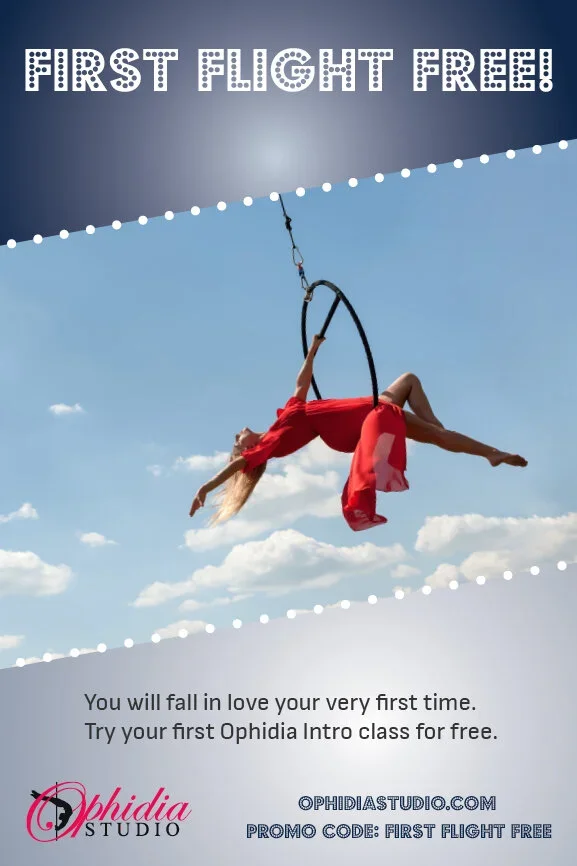flyer_promo_web.webp