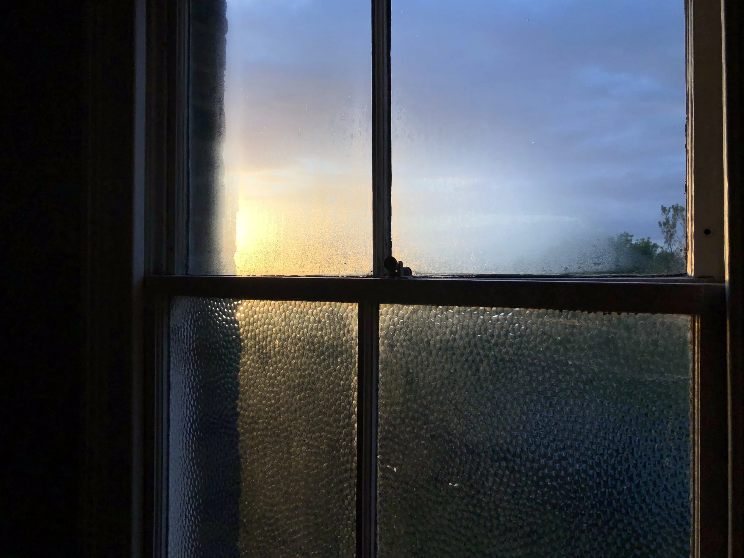 IMG_7261.JPEG