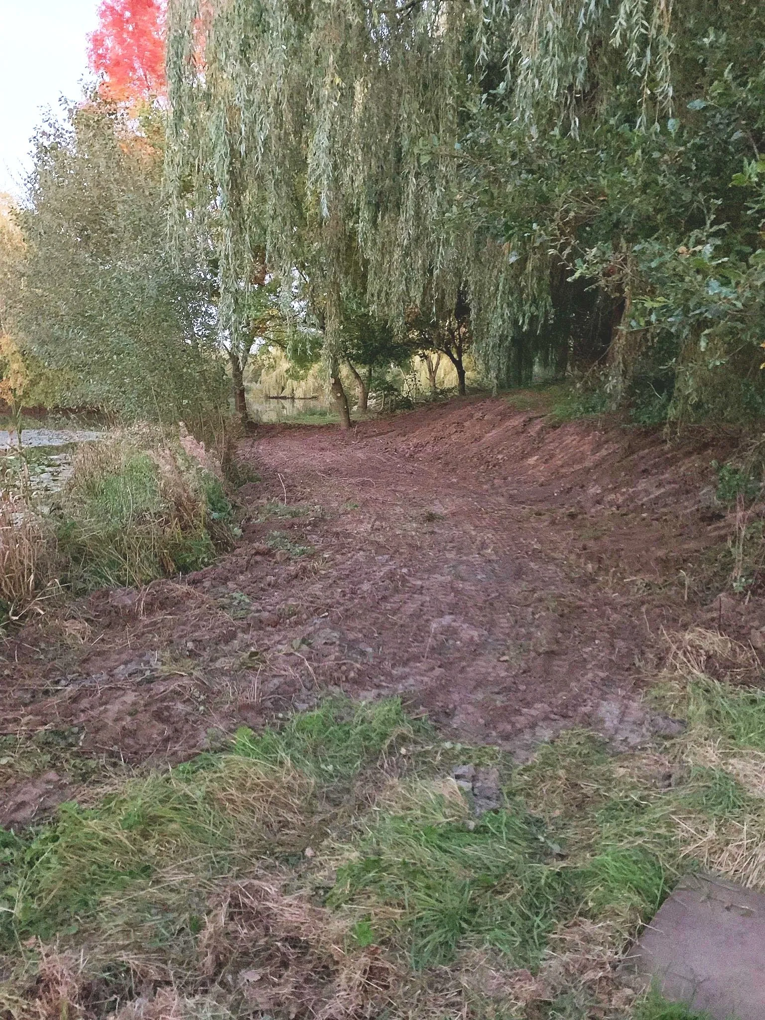A dirt walking path in a park or wooded area, lined with green grass and trees with green and reddish leaves, and some shrubs on the sides.