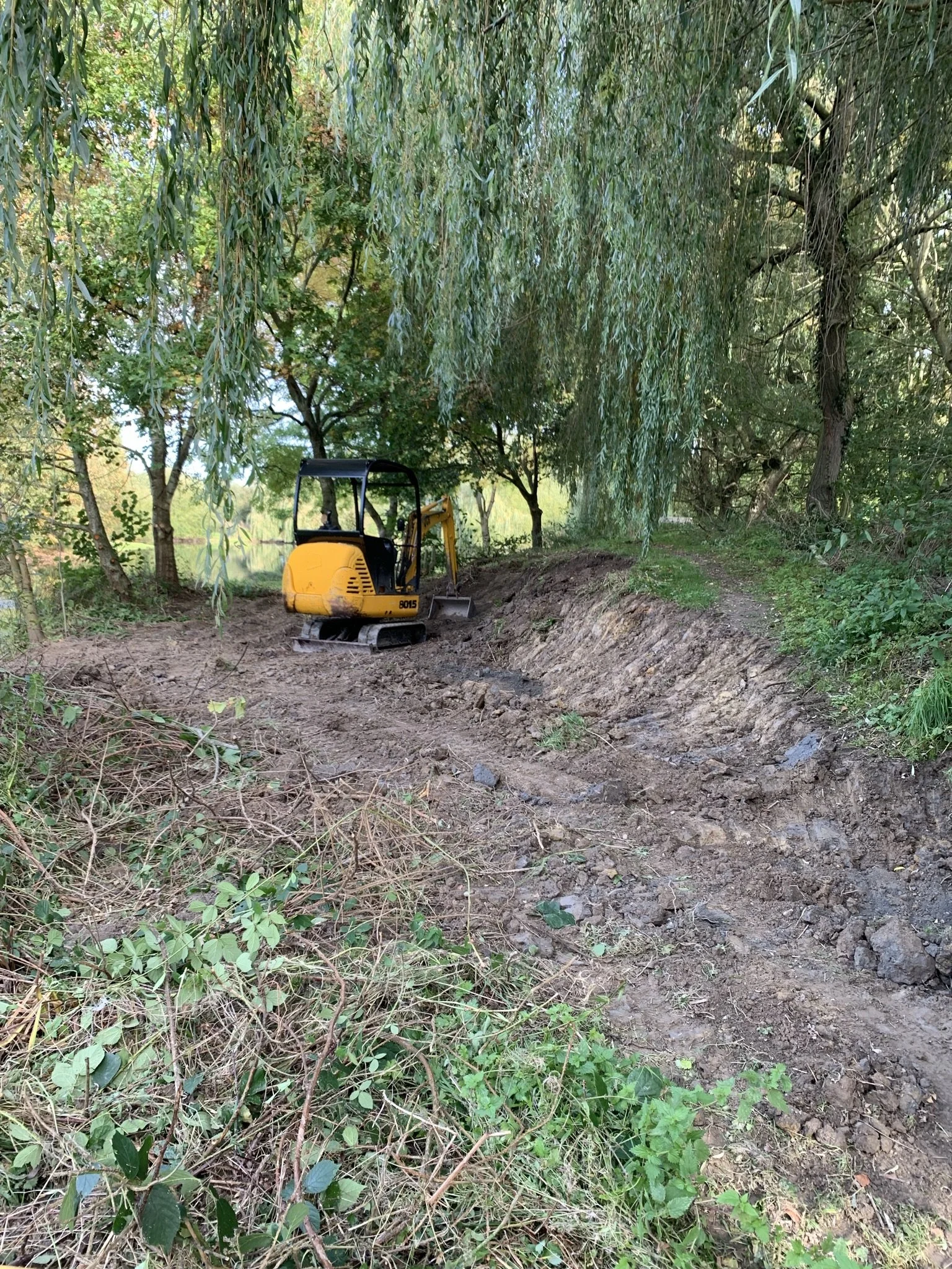 A small yellow excavator working on a dirt path in a wooded area with green trees and bushes.