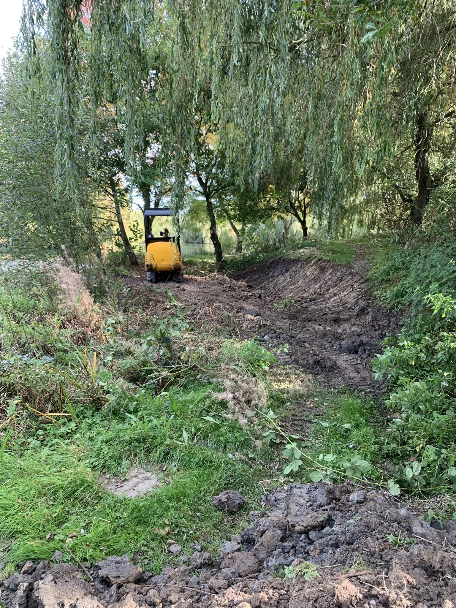 A small bulldozer parked on a dirt path in a green wooded area, with trees and bushes on either side.