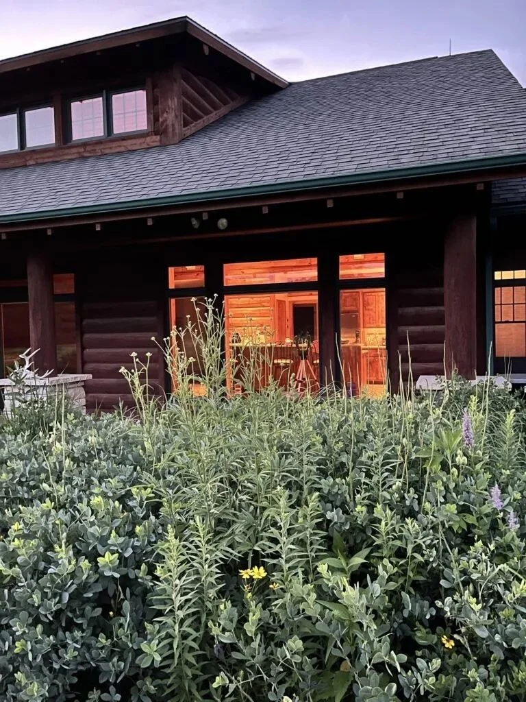 Summer’s Tranquility: Brook Creek and Prairie Song Farm, Iowa, 2020/21/22/23/24/25/26 🚜