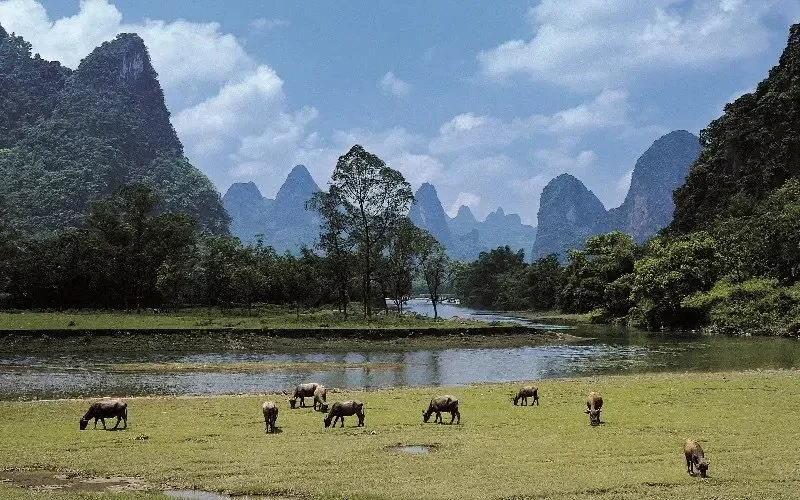 Three Trips to China 中國 2003/2008/2012