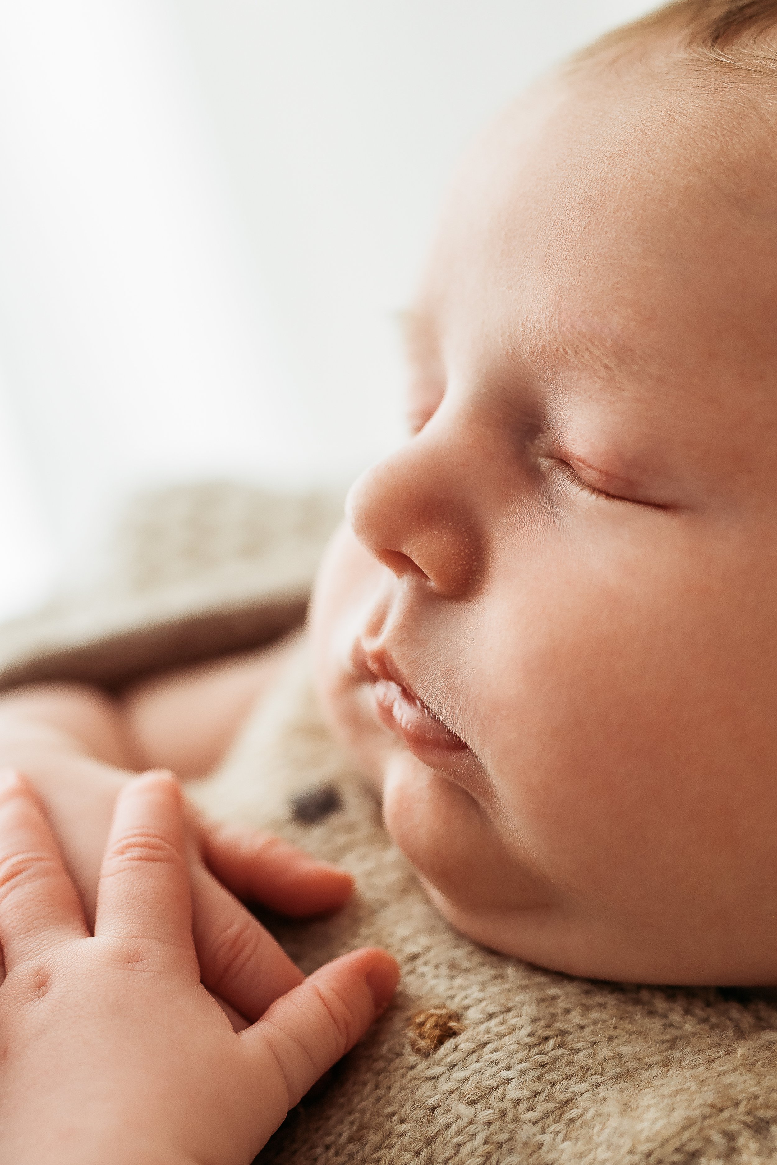 Newborn Session - Ines Henderson Photography-26.jpg
