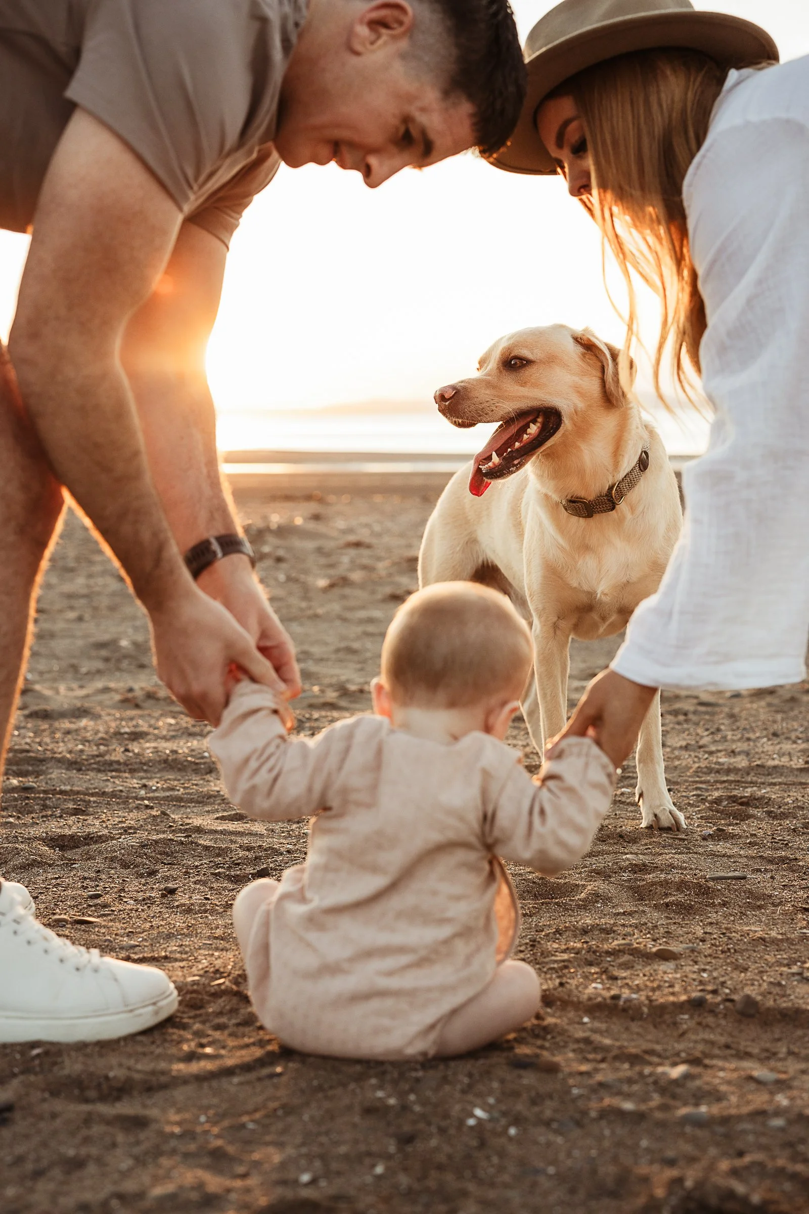 A family enjoying a playful beach adventure with their dog, capturing the joy, connection and little moments shared together outdoors.