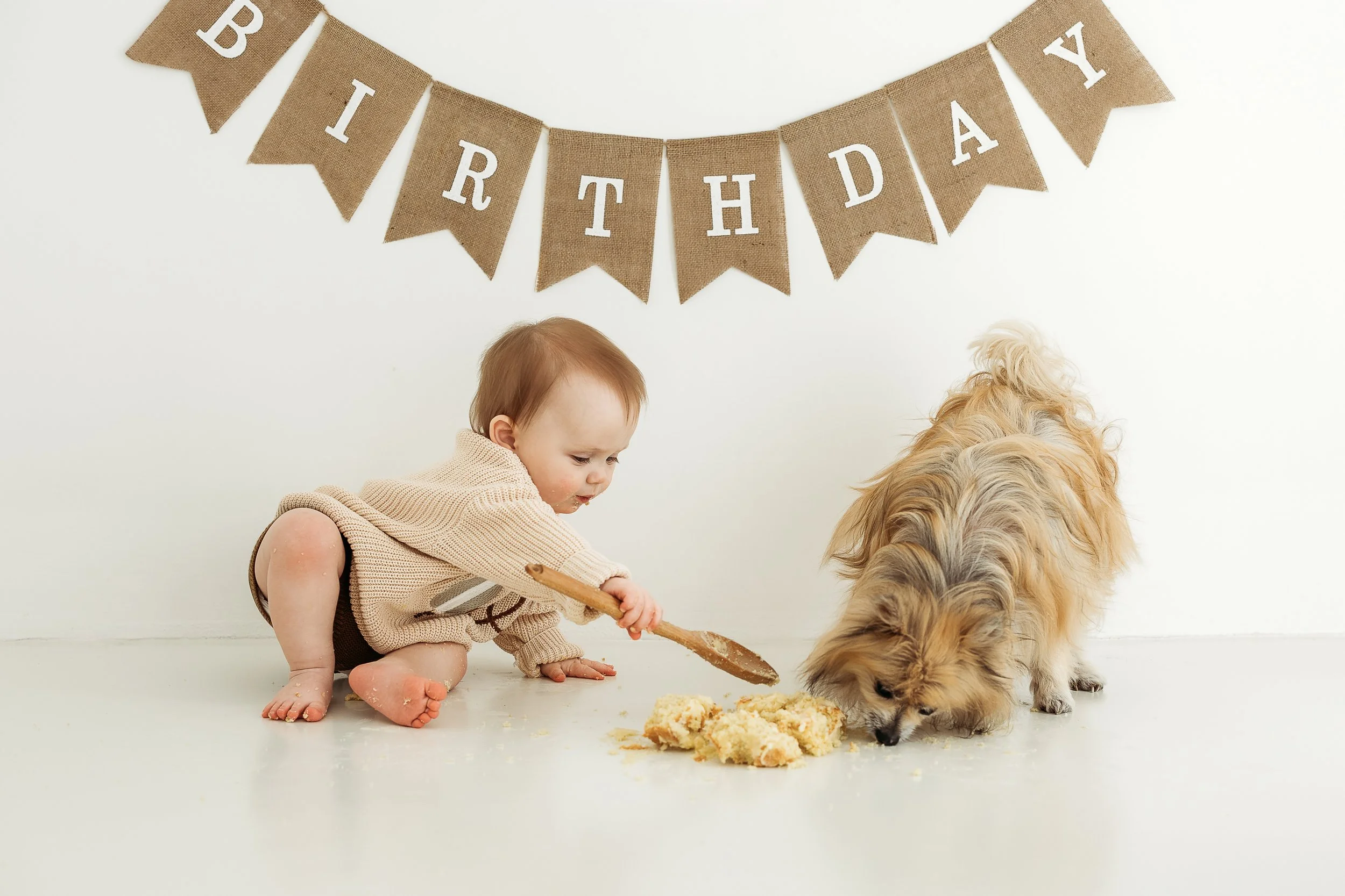 Toddler enjoying a first birthday cake celebration with the family dog beside them in a natural light studio.