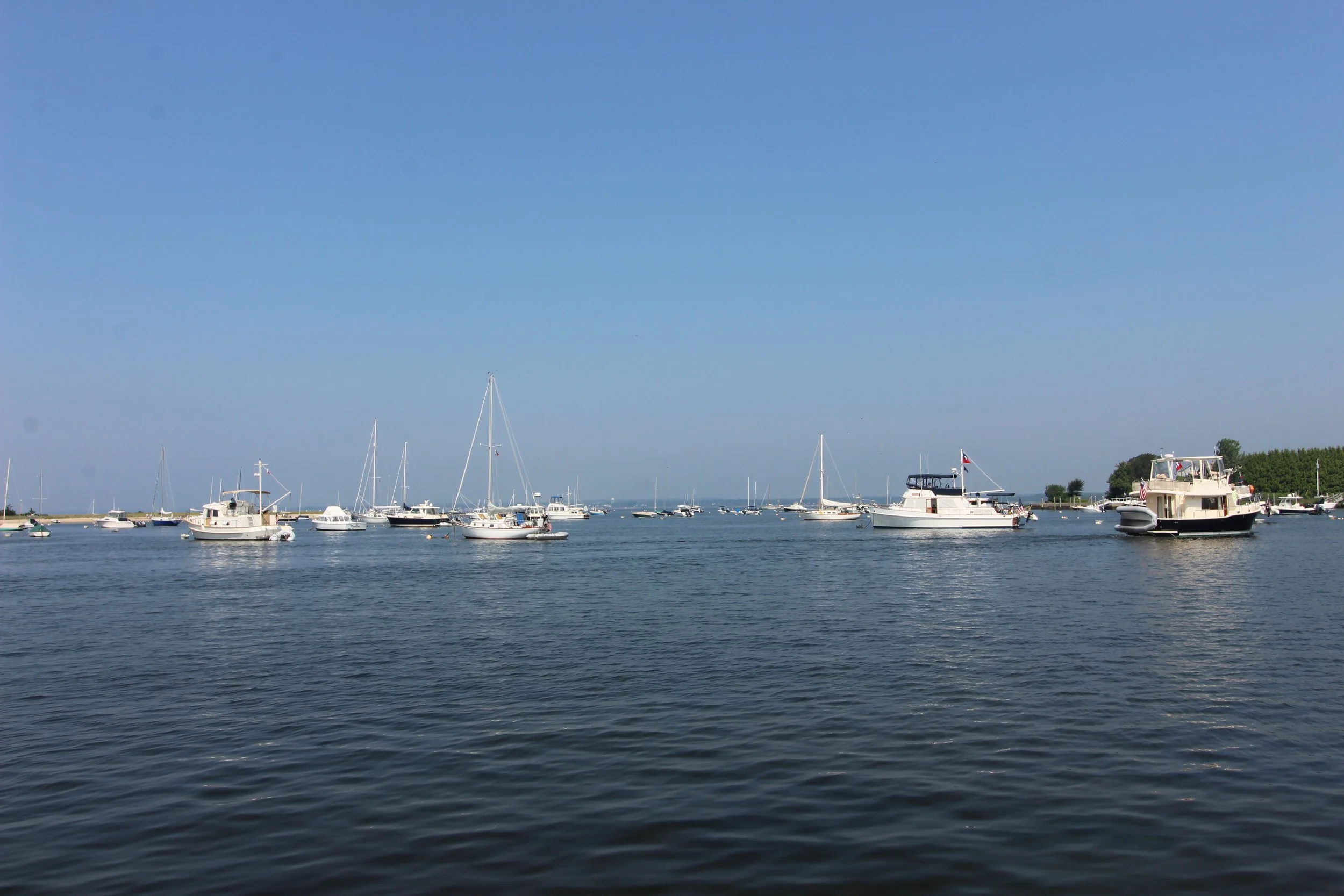 IMG_0035.JPG