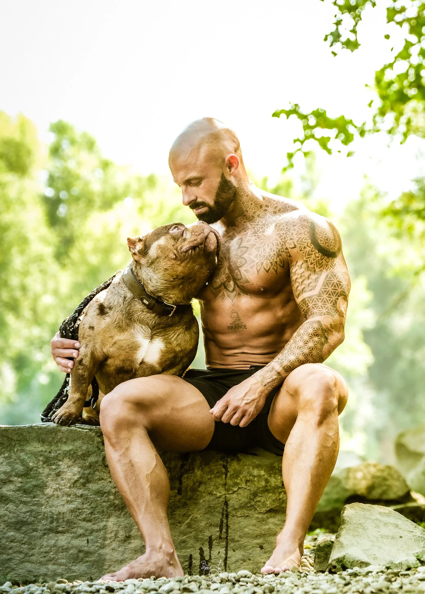 A shirtless man with a tattooed arm and chest, sitting outdoors on a rocky surface, looking down at a dog with brown and black fur wearing a collar, as they touch noses in a lush green park.
