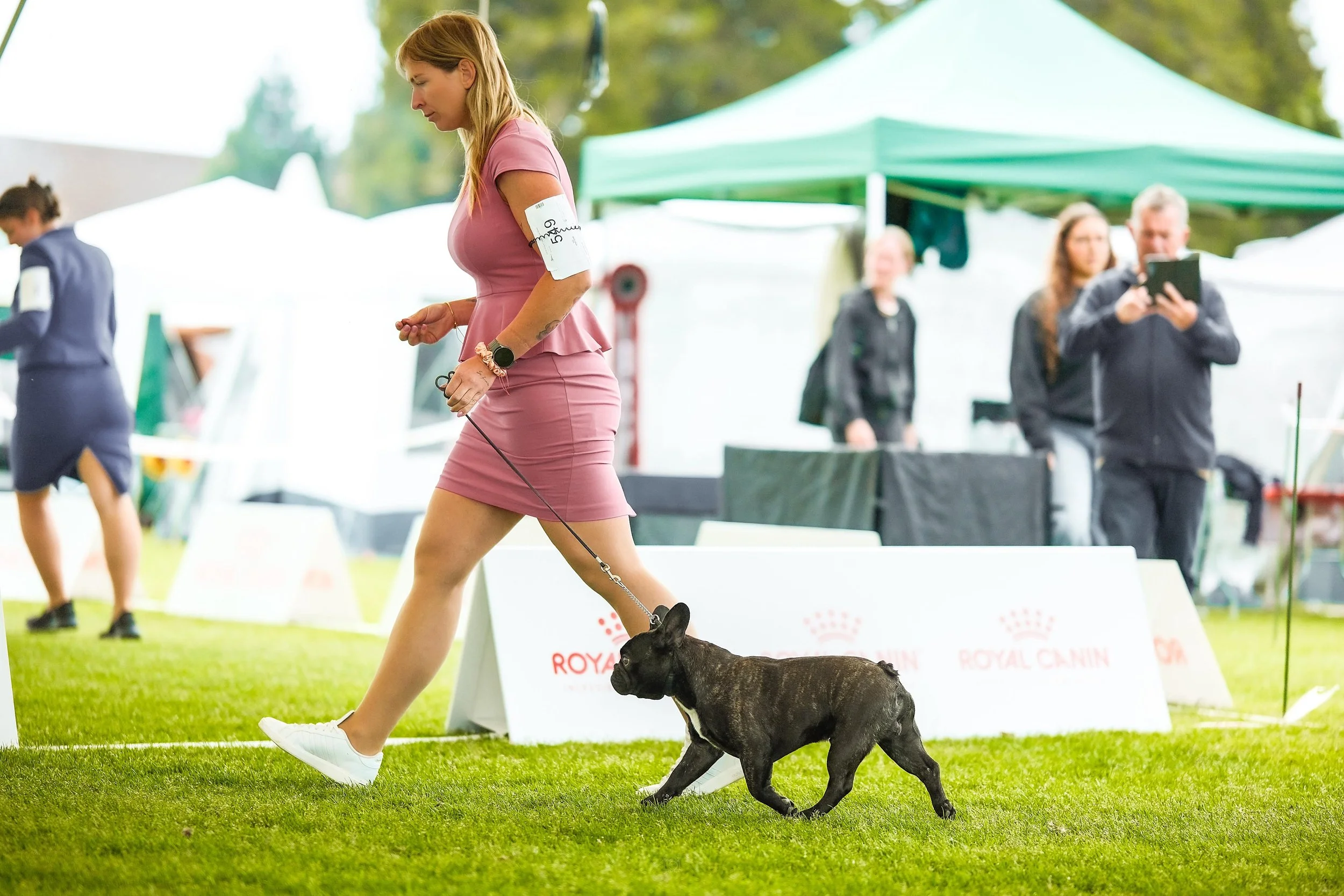 A woman walking a dog at a dog show, with people and tents in the background.