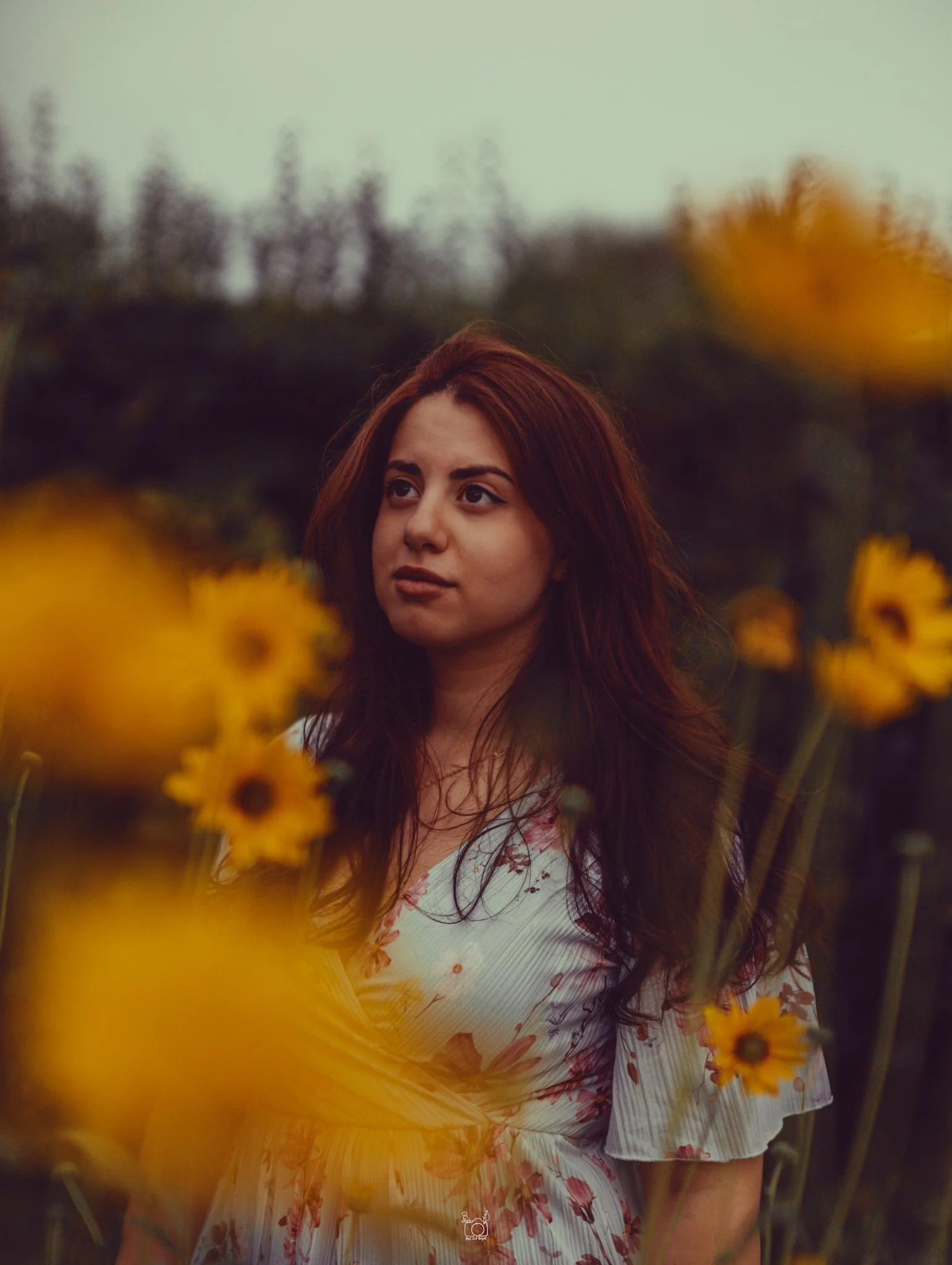 A woman with long red hair standing in a field of yellow flowers with trees in the background on a cloudy day.