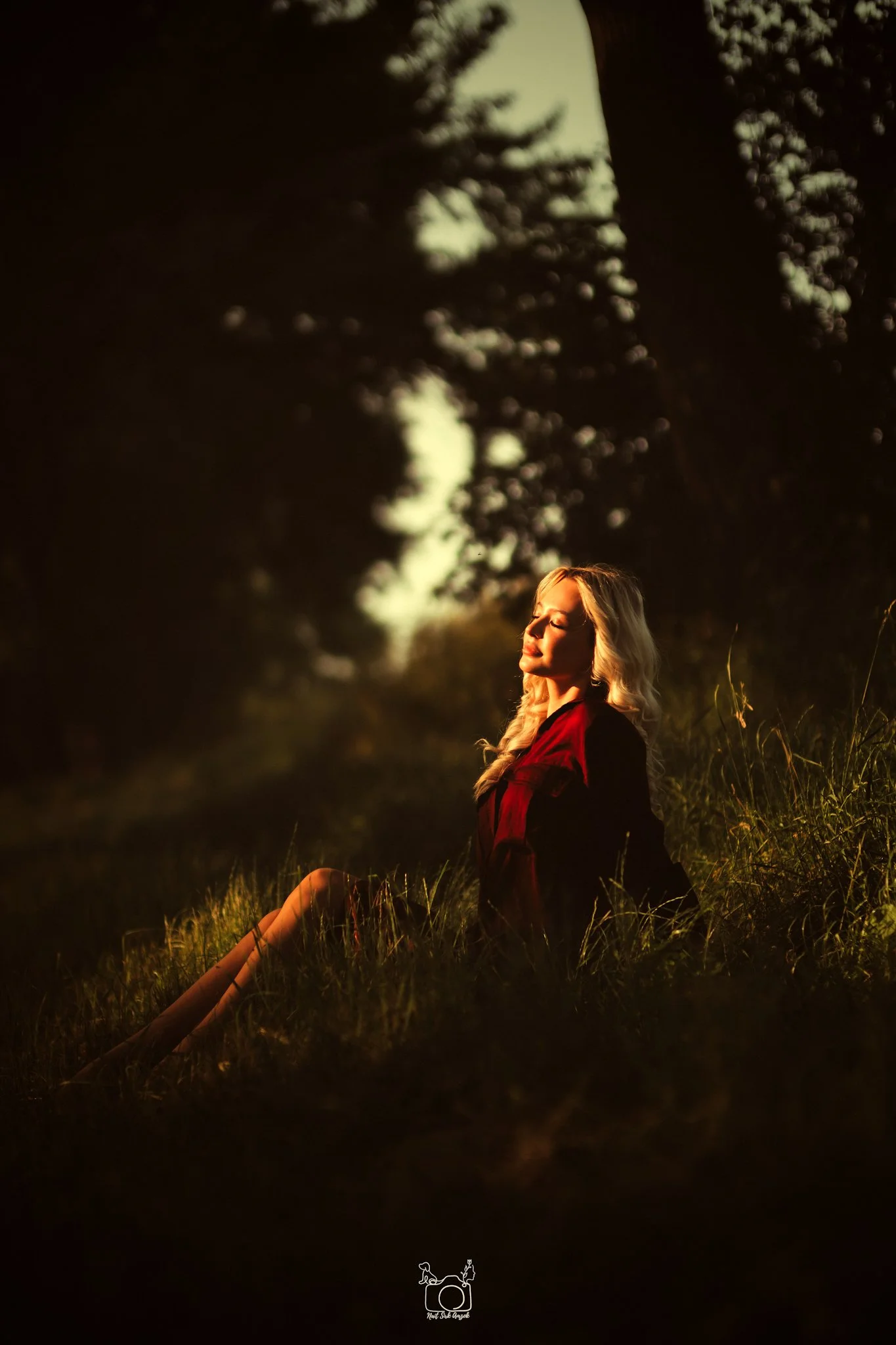 A woman with long blonde hair sitting on grass, eyes closed, illuminated by warm sunlight during sunset or sunrise, with dark trees in the background.