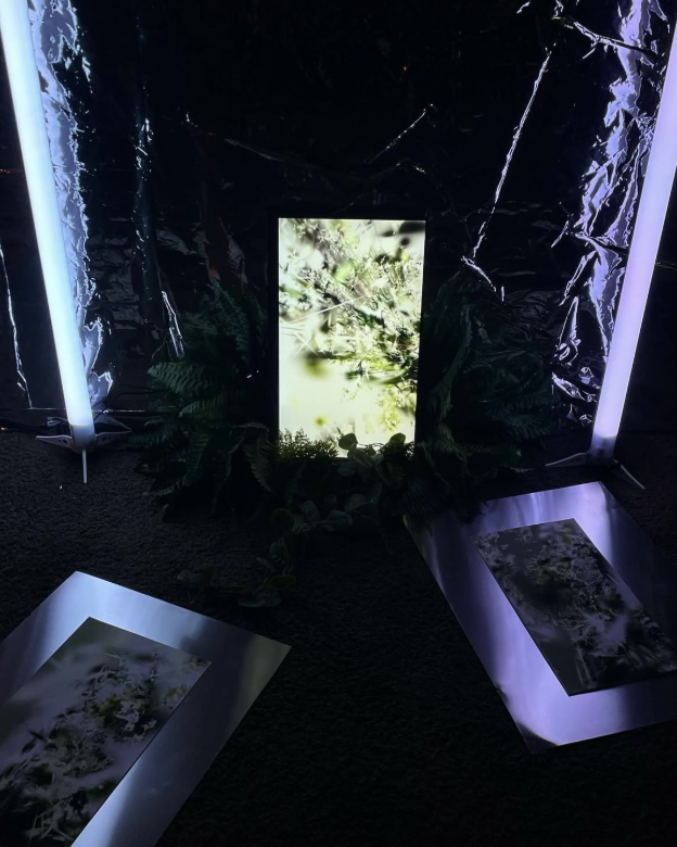 Serena Devereux Exhibition