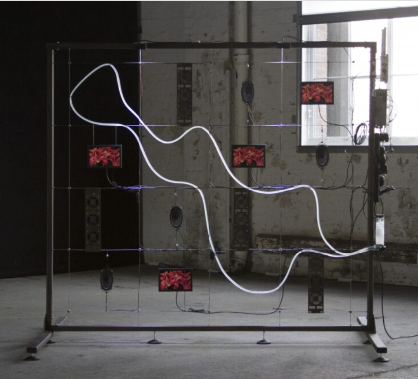 SEED - Sensory Experiences of Environmental Data