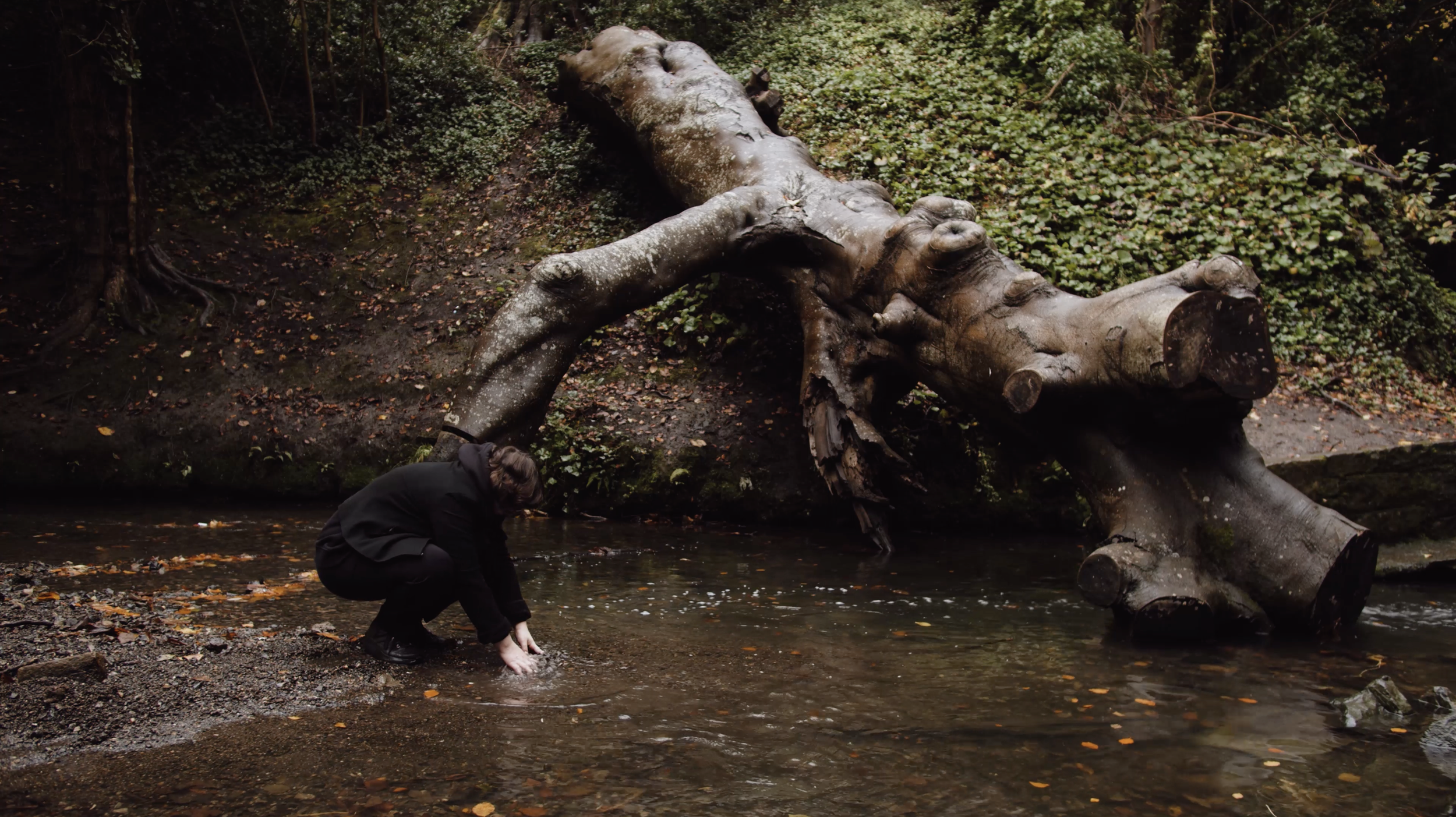 3_Unmasking Nature_Emma Stimming With Nature_Still_by Charlie Joe Doherty_Unmasking Nature_2025_6 .png
