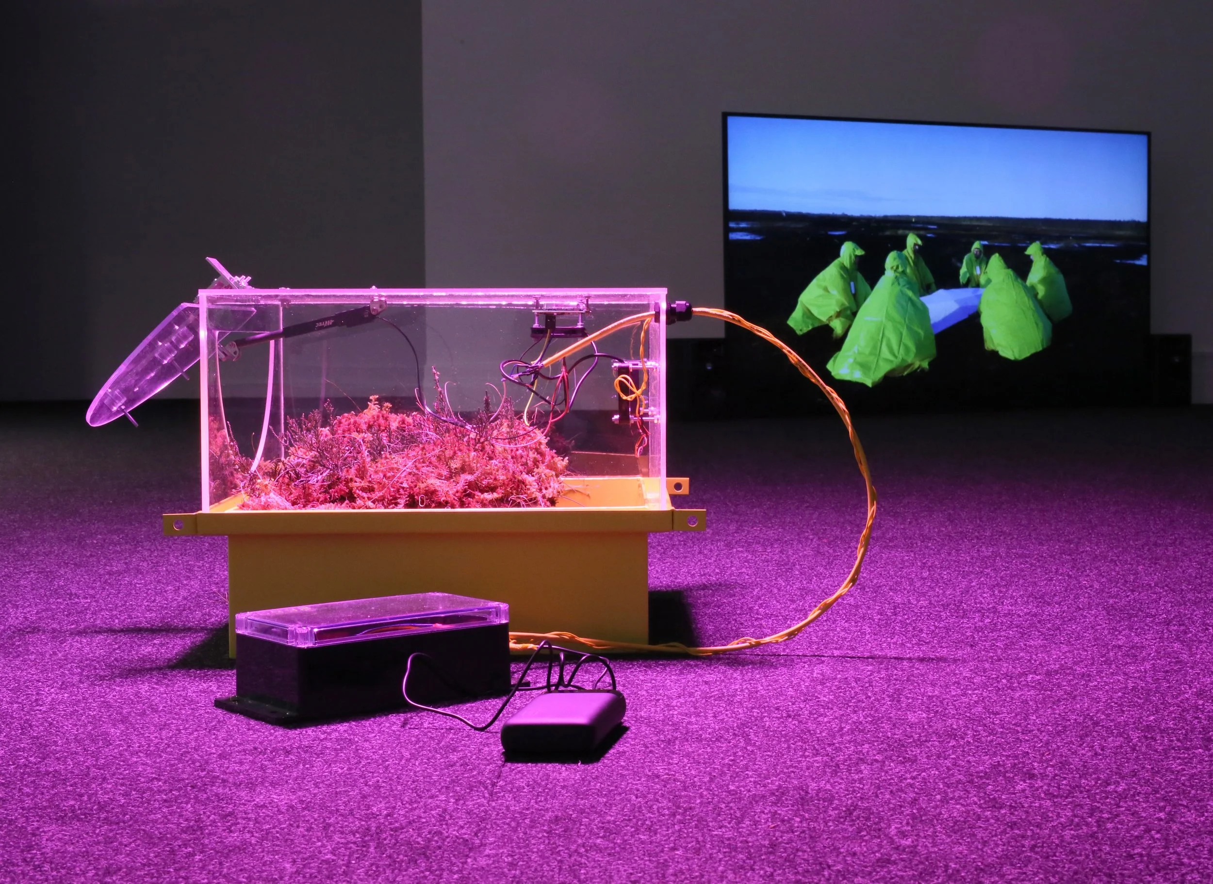 CloudChamber,FionaMcDonald,MarkStedman.JPG