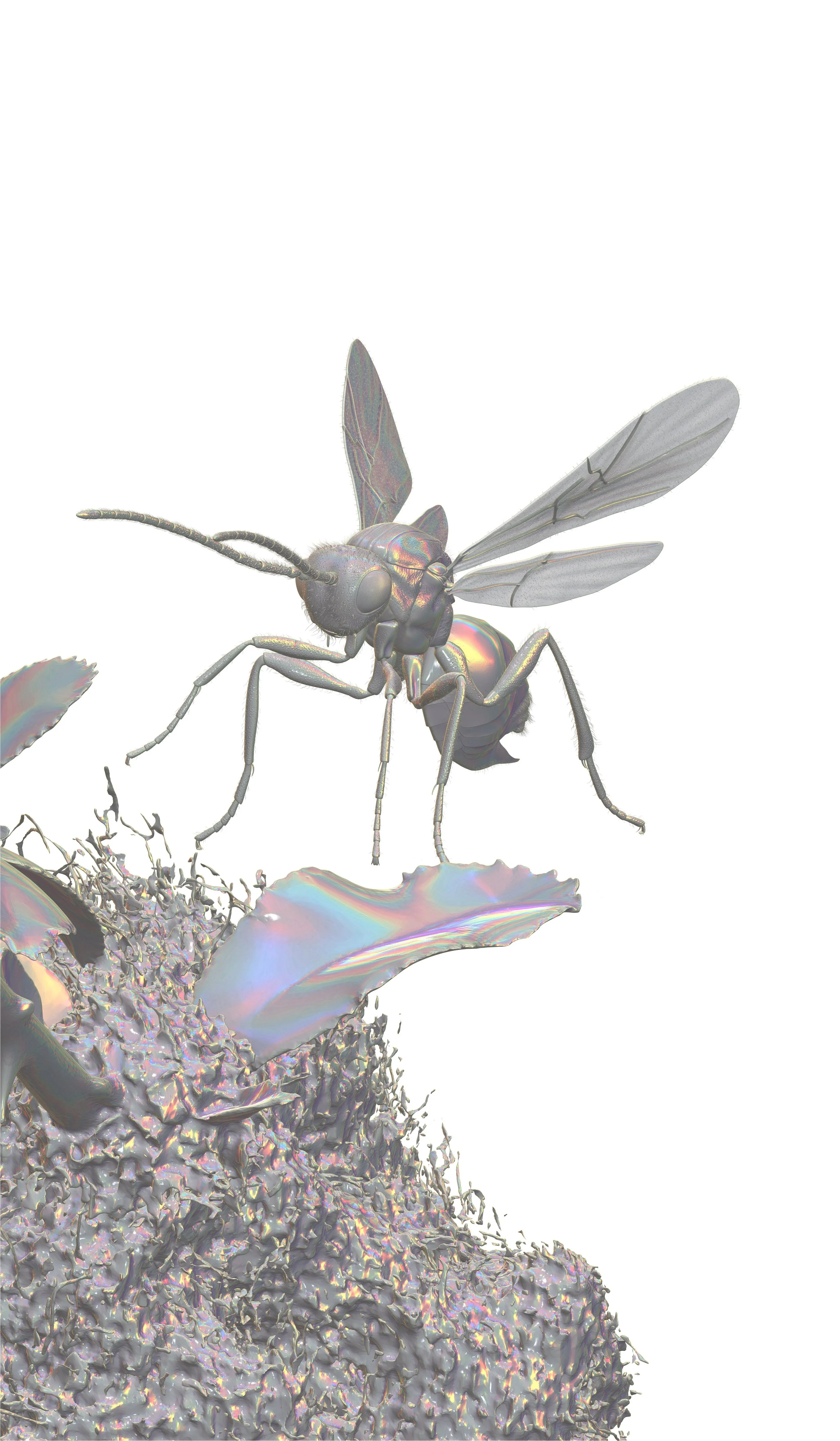Istvan Laszlo_Bedeguar_(Render_2)_Beta_2026 - Istvan Laszlo.jpg