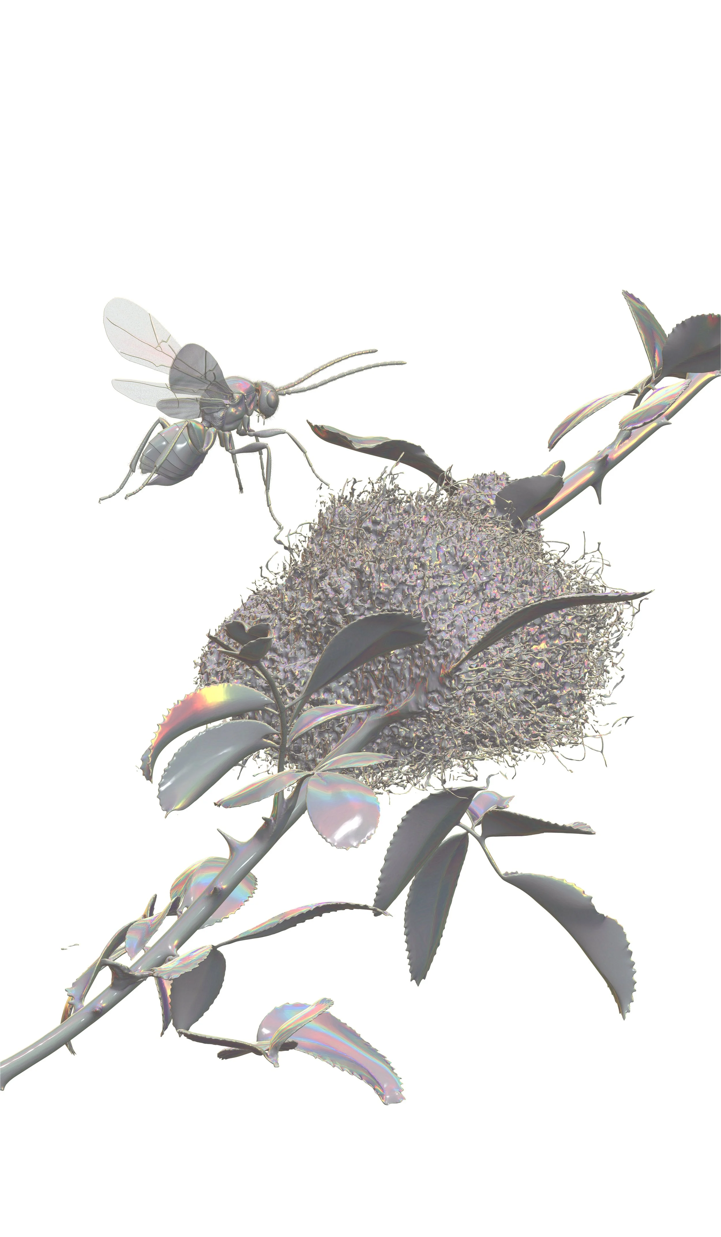 Istvan Laszlo_Bedeguar_(Render_1)_Beta_2026 - Istvan Laszlo.jpg