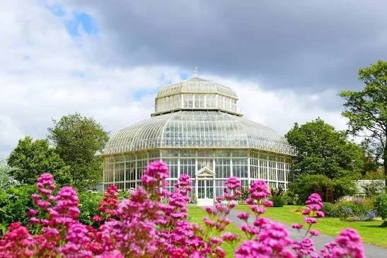 The National Botanic Gardens of Ireland