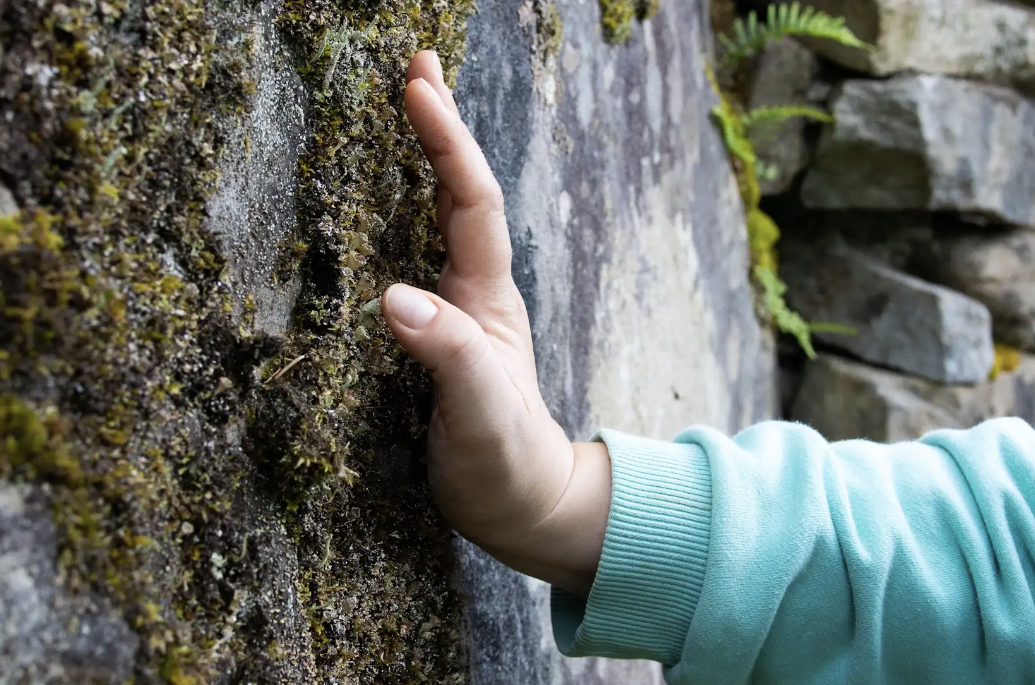 Tour: Unmasking Nature - Biophilic Foraging for Senses