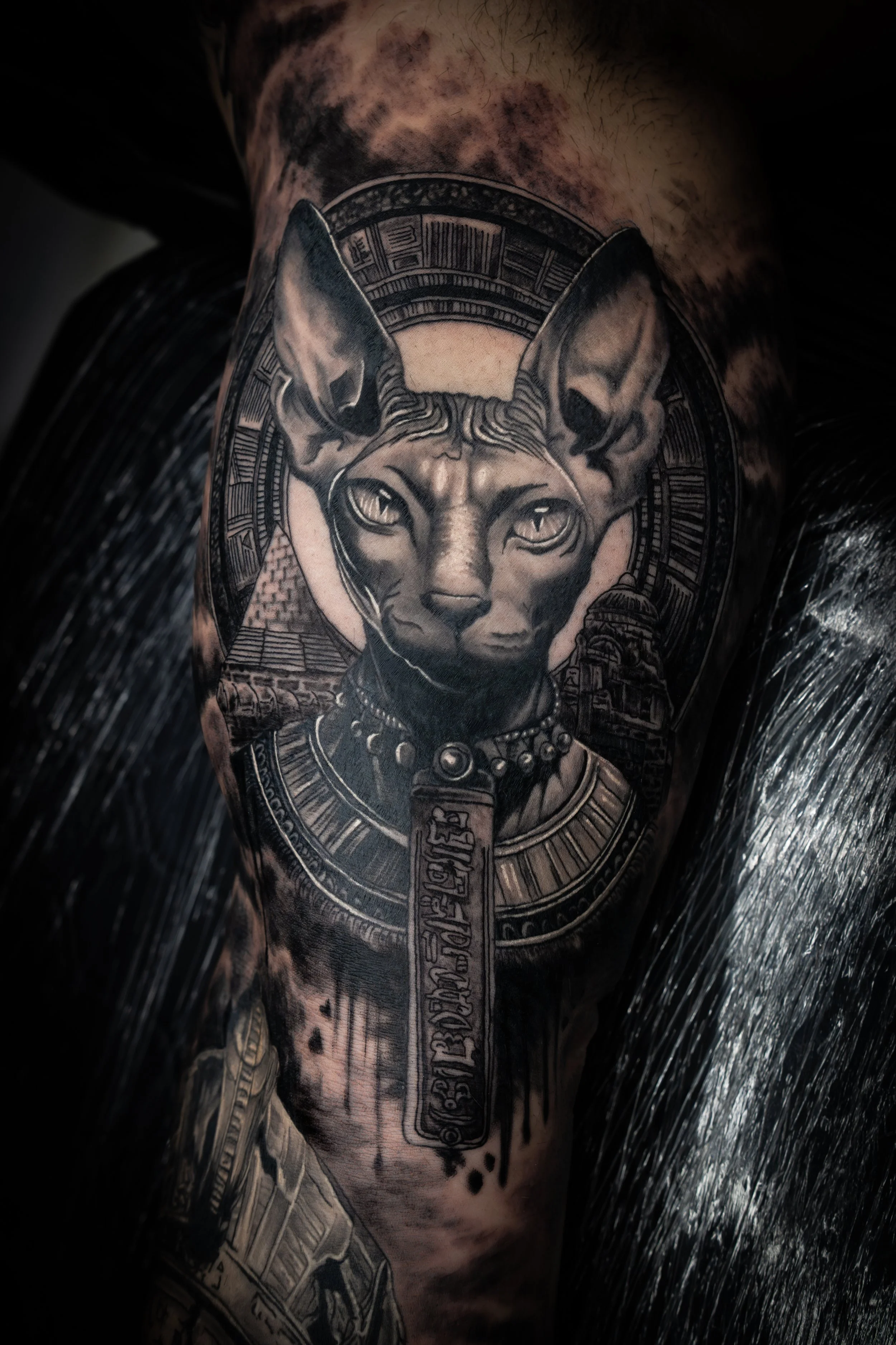 Tattoo of a stylized feline head with large ears and detailed facial features, surrounded by intricate geometric and pattern designs, on a person's upper arm or shoulder.