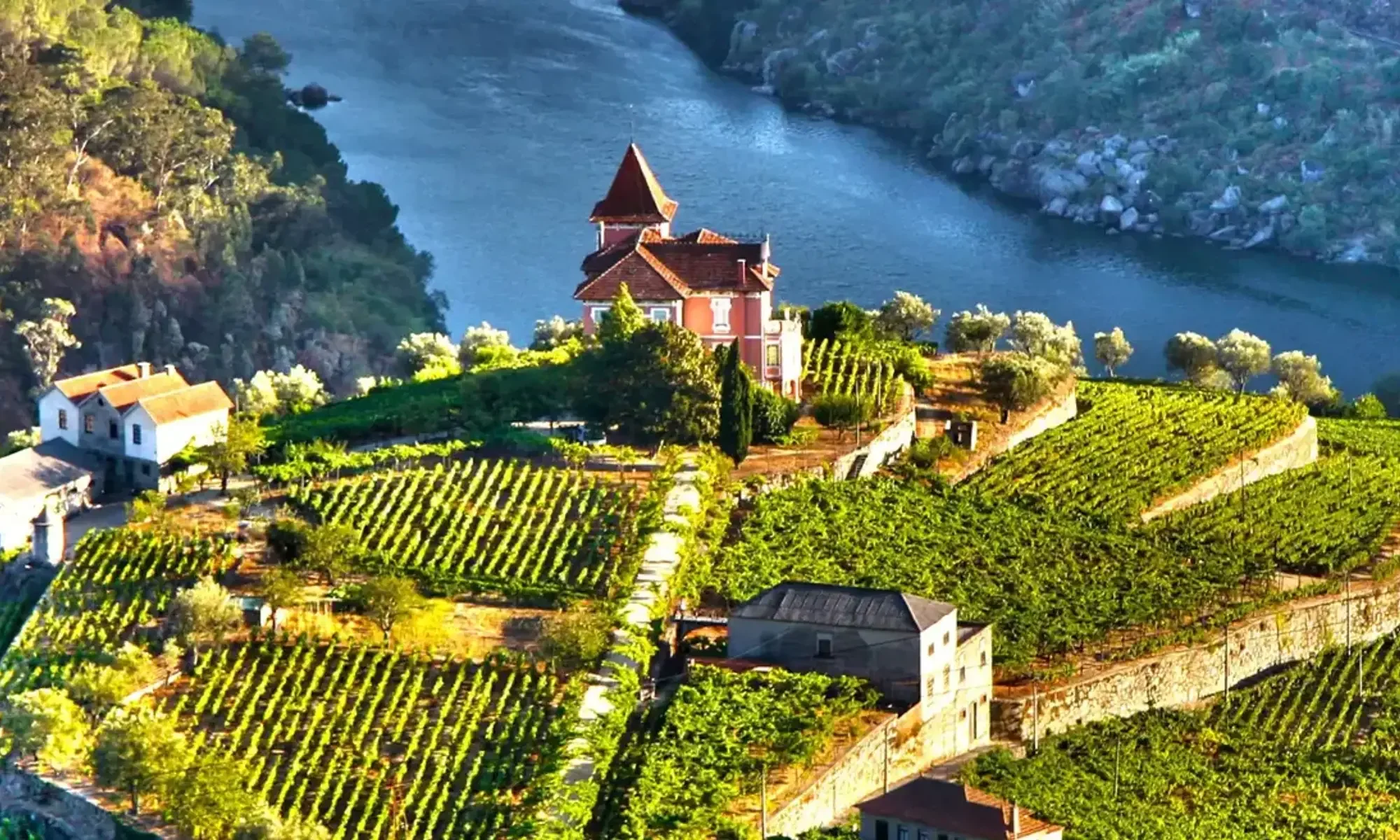 A scenic view of a vineyard with a pink house and a church on a hillside overlooking a river with surrounding forests.
