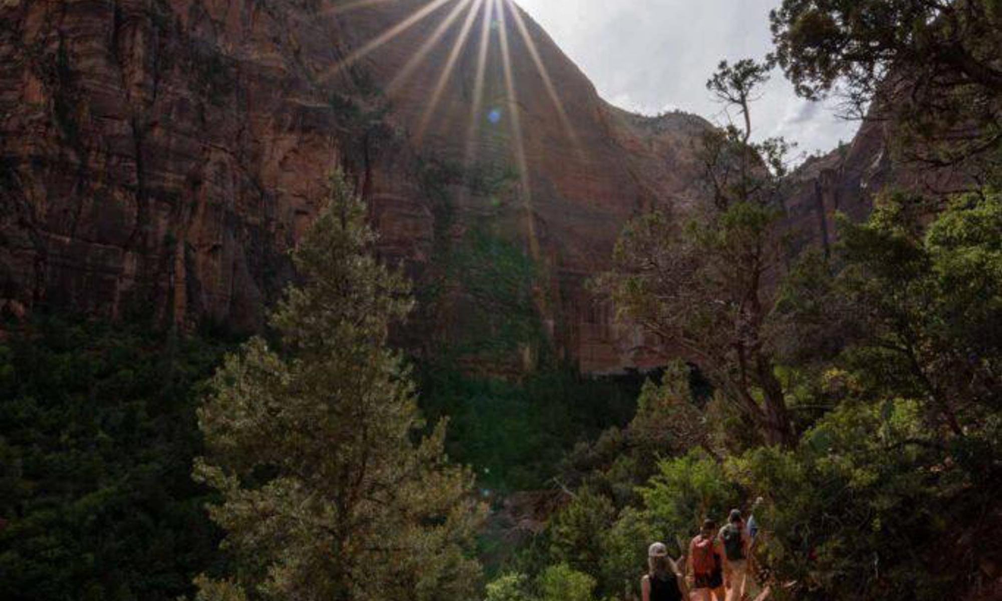 Group of hikers walking along a trail in a lush canyon with trees and high red rock walls, sunlight streaming into the canyon.