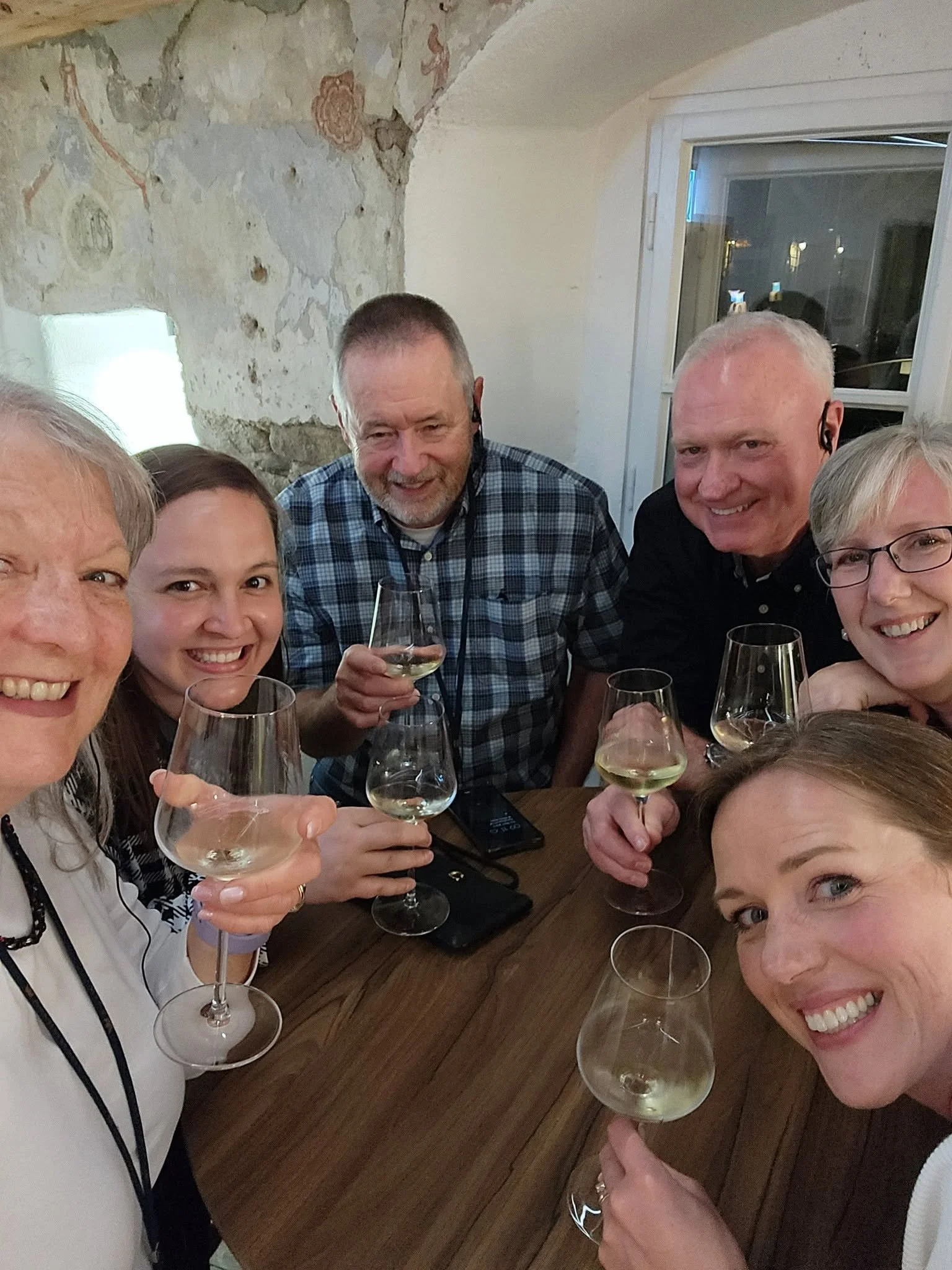 Group of people smiling and holding wine glasses at a social gathering indoors, with a rustic wall and a window in the background.
