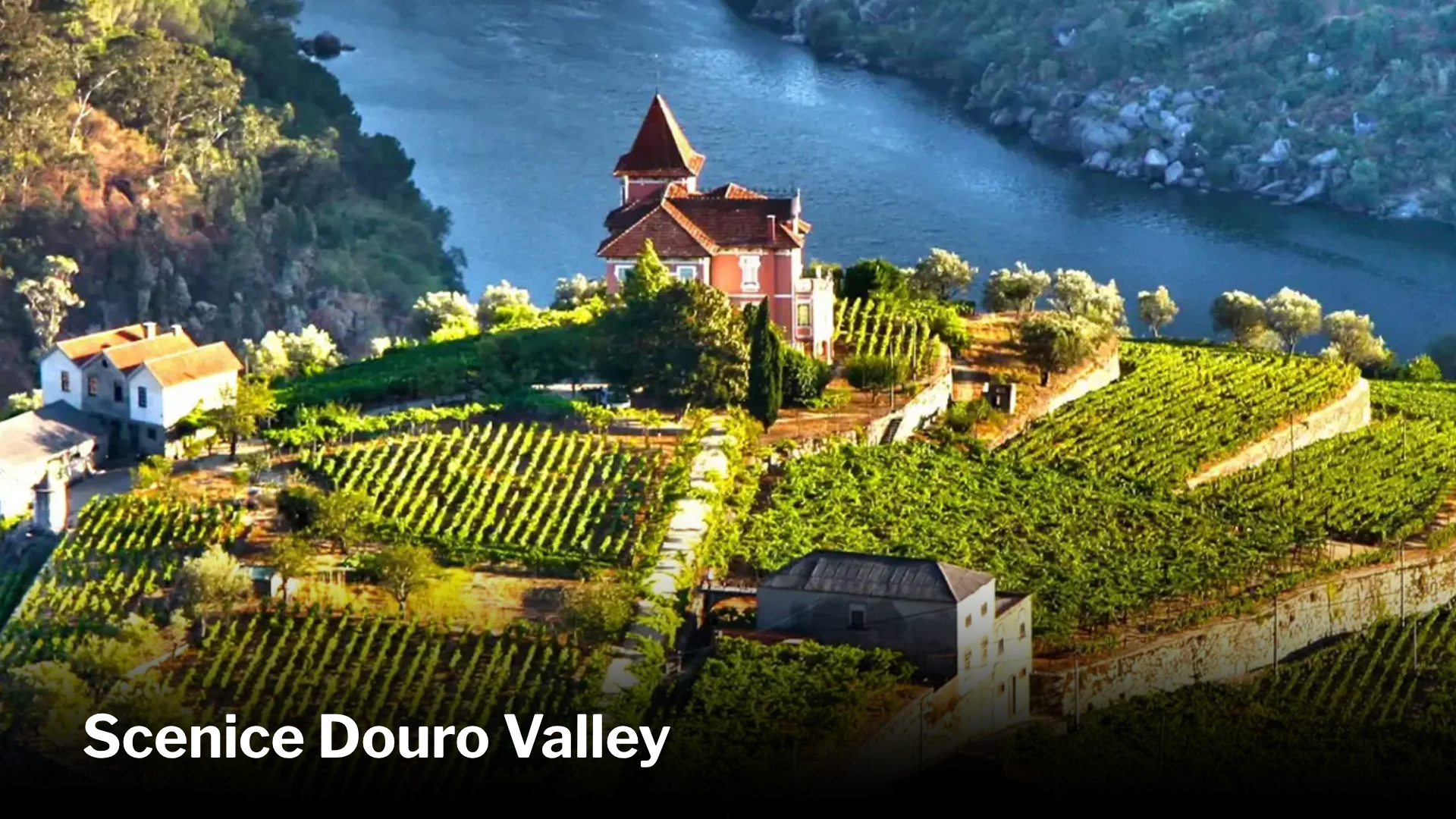 A scenic aerial view of Douro Valley with a pink church and vineyard terraces by a river.