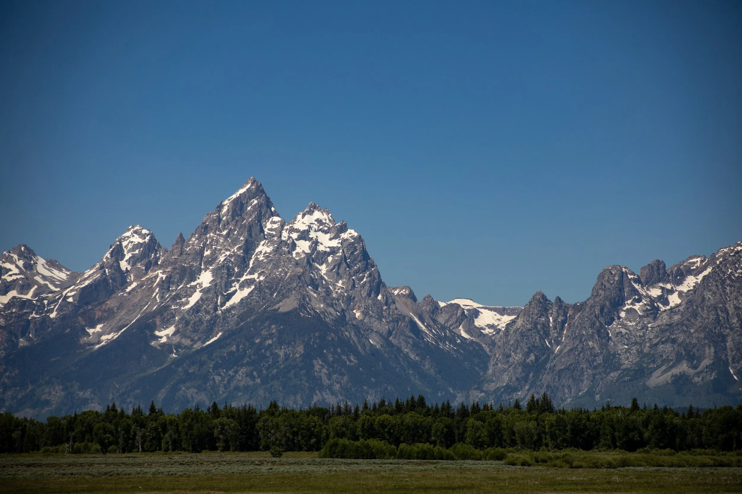 Snow-capped mountain peaks under a clear blue sky, with a dense forest of trees at the base.