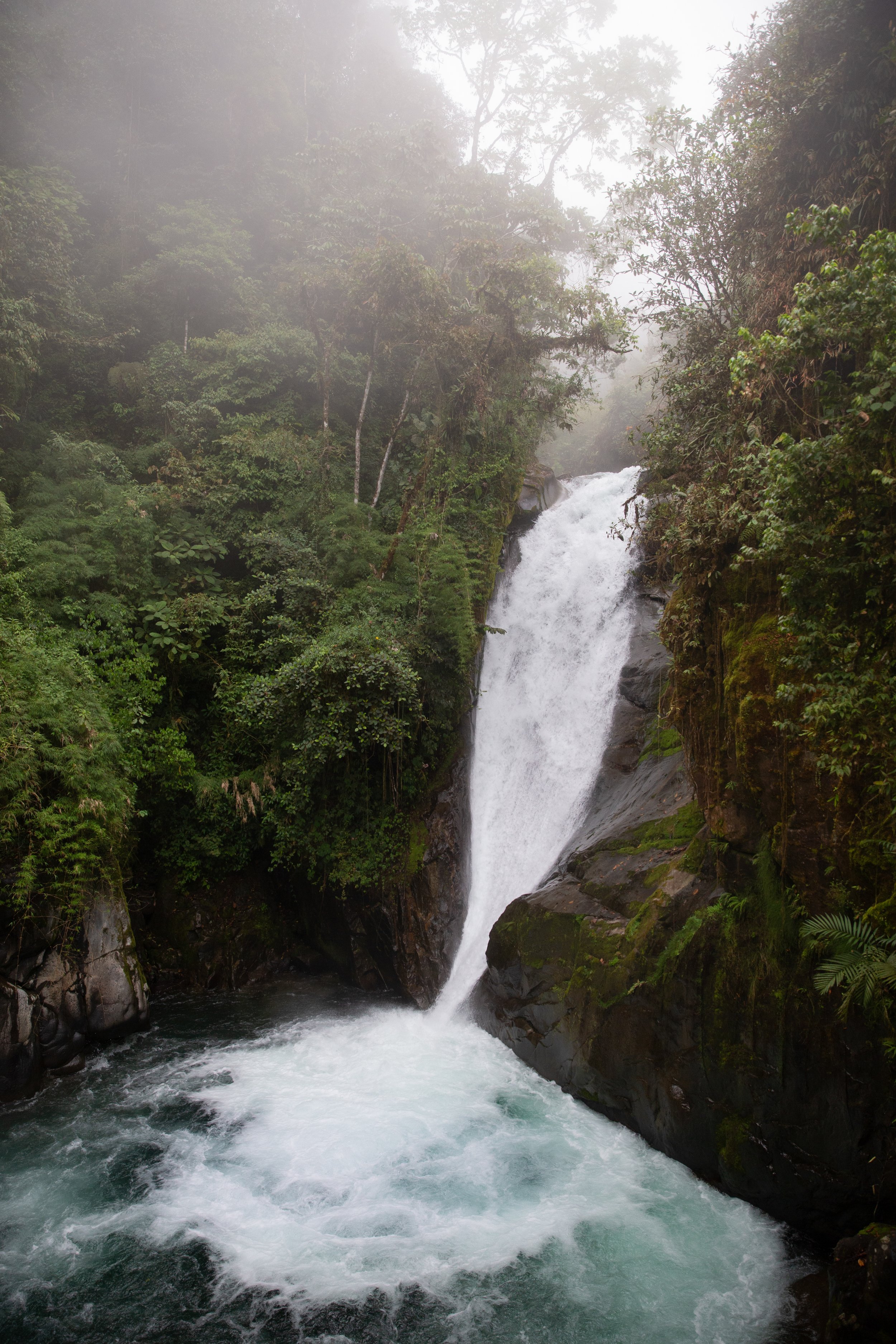 A waterfall flowing through a lush, green rainforest with foggy atmosphere and rocks at the bottom.