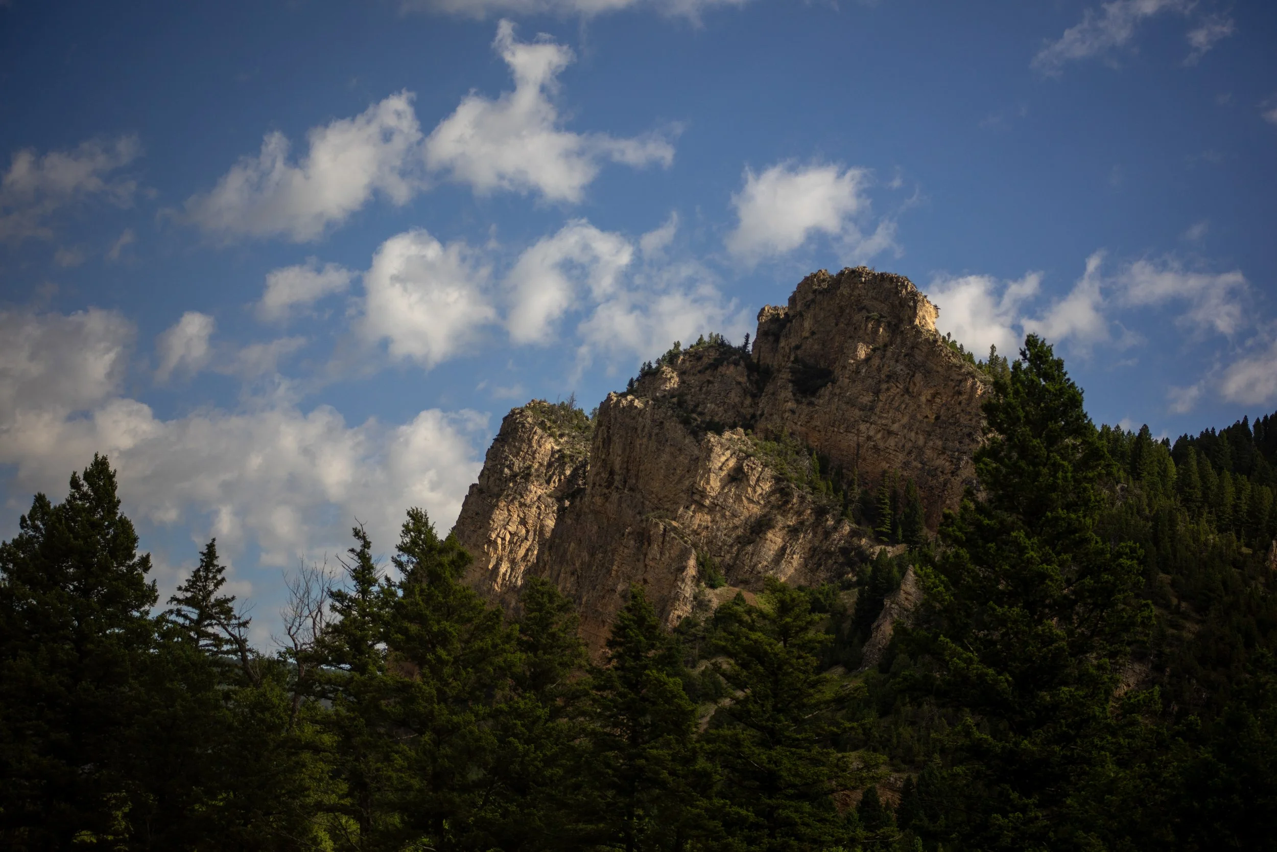 A mountain with rocky cliffs surrounded by green trees under a partly cloudy blue sky.